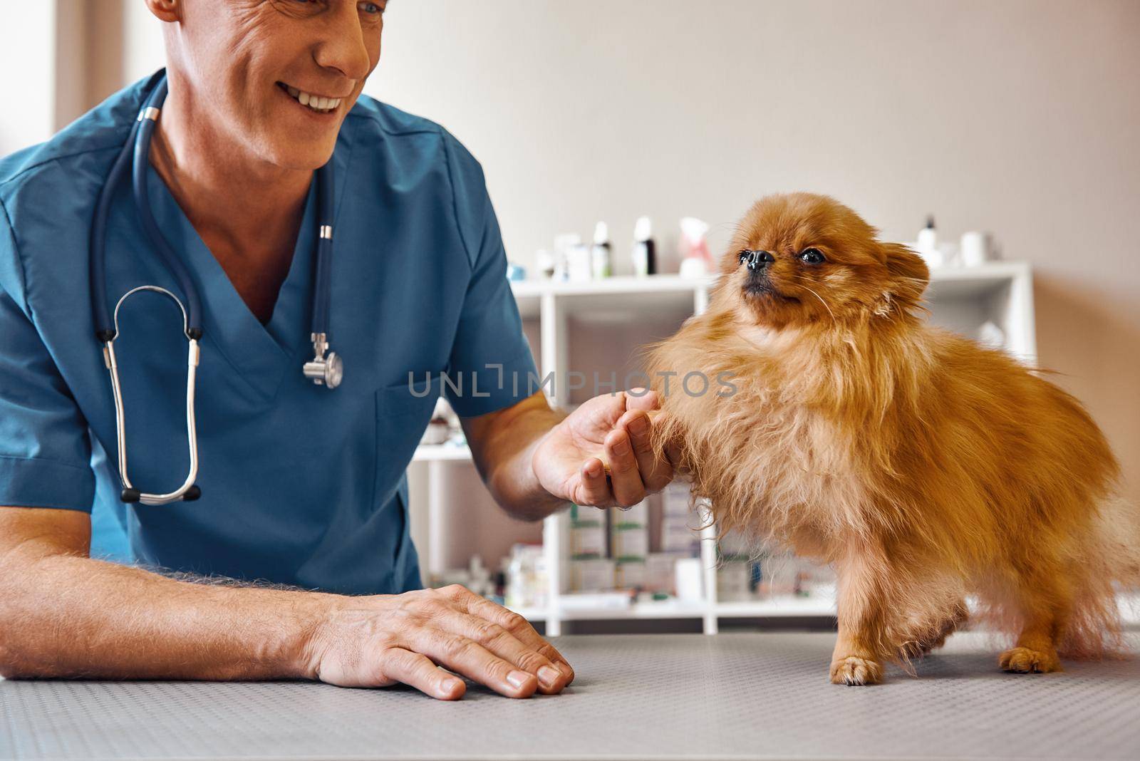 Nice to meet you, buddy Cheerful middle aged vet holding dog's paw and smiling while standing at veterinary clinic. Medicine concept. Pet care concept. Animal hospital