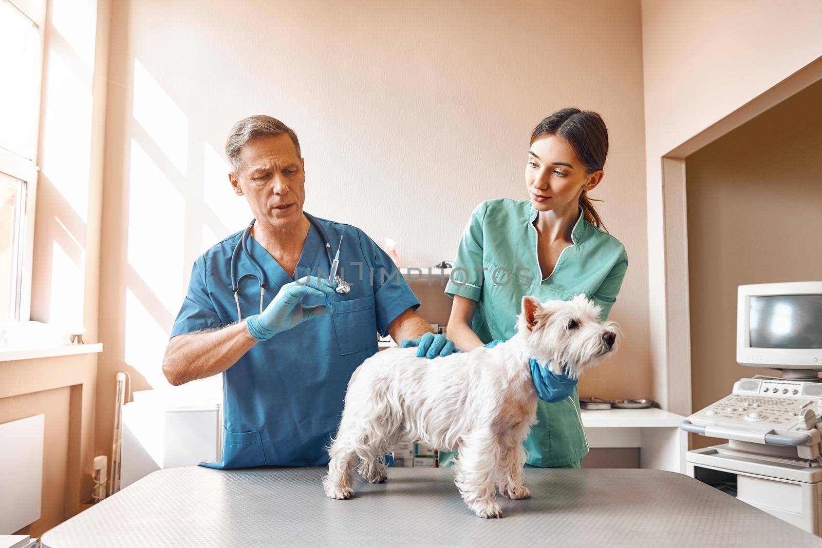 It will hurt a little. A middle aged male vet is going to inject a small dog while his female assistant keeping a patient. Vet clinic by friendsstock