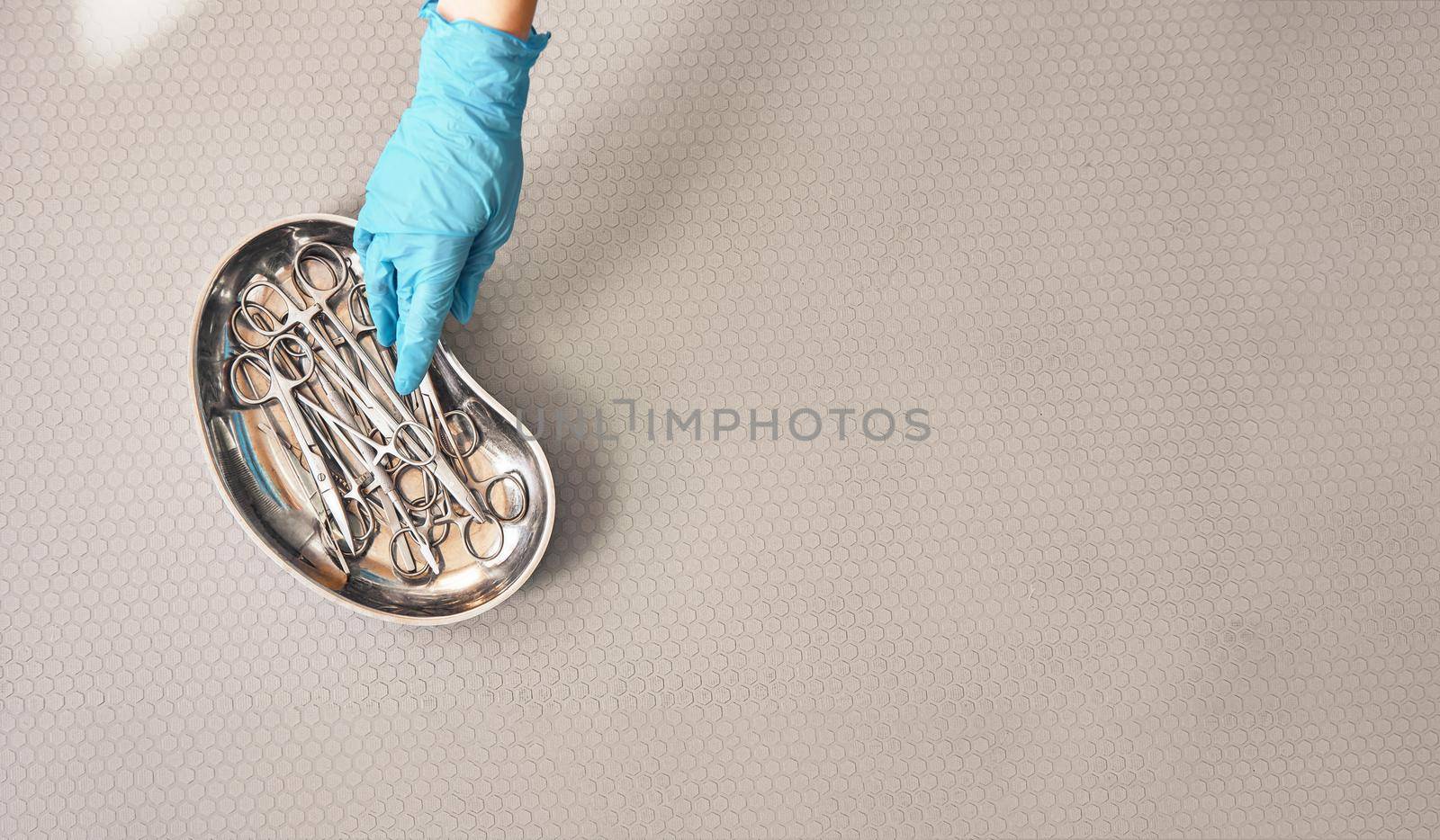 Medical instruments. Top view of scissors lying on the table. Vet hand in protective glove is taking scissors for work in veterinary clinic. Medicine concept. Animal hospital. Medical equipment