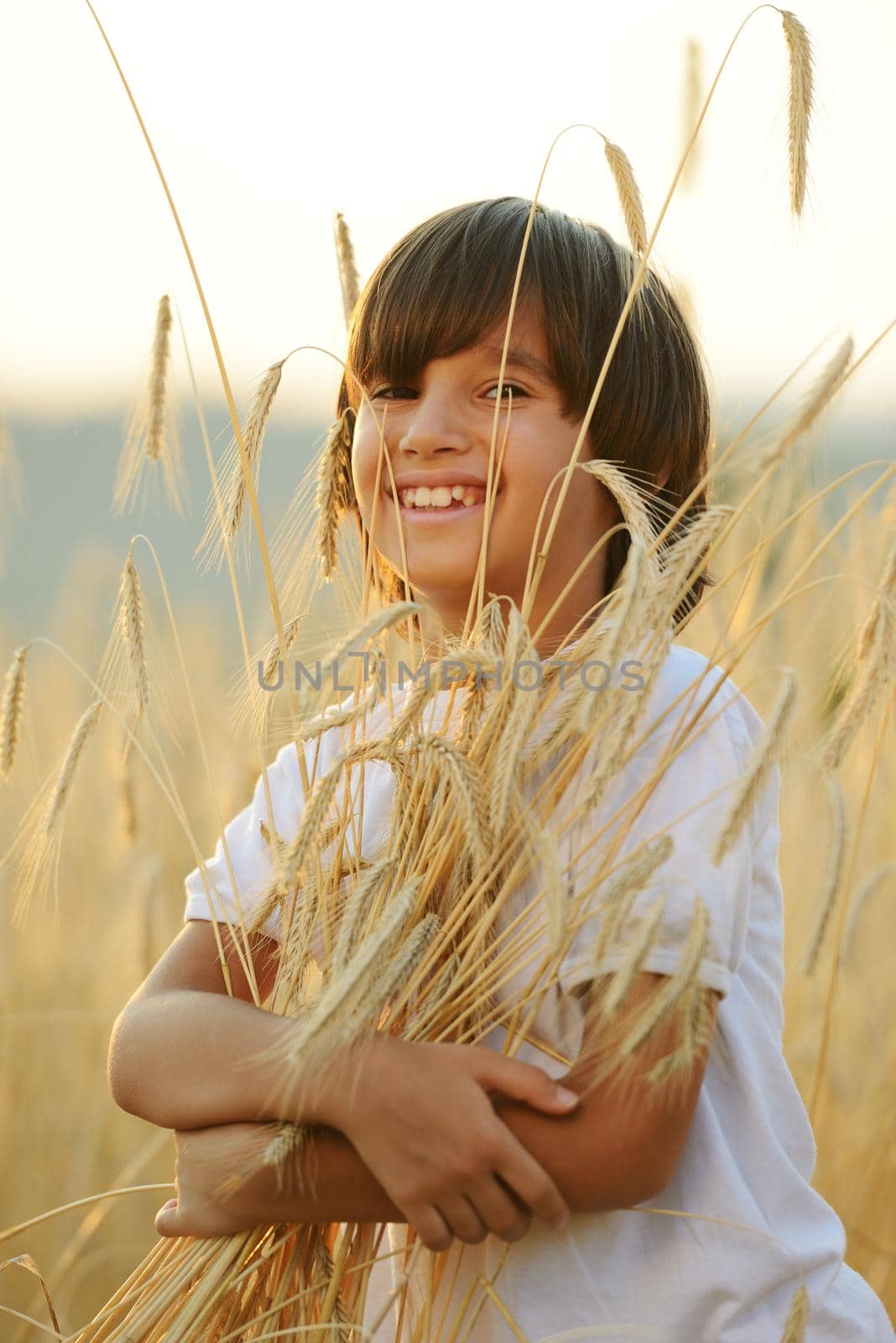 Kid at wheat field hugging harvest grain