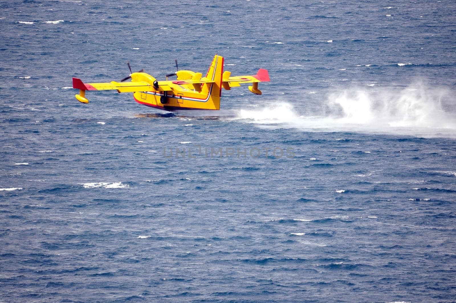 Airplane on sea taking water to drop over fire