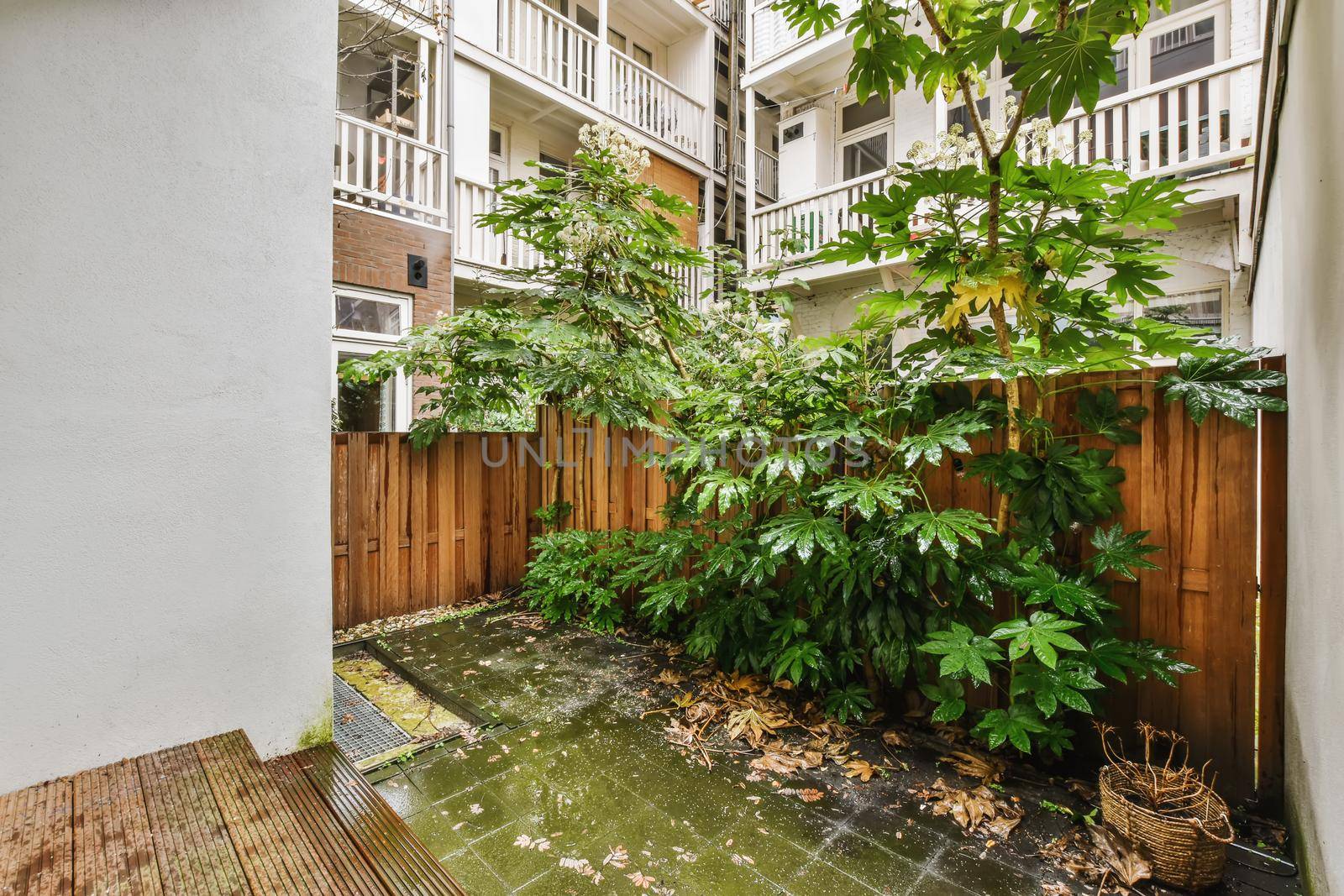 Luxurious small courtyard with a wooden fence