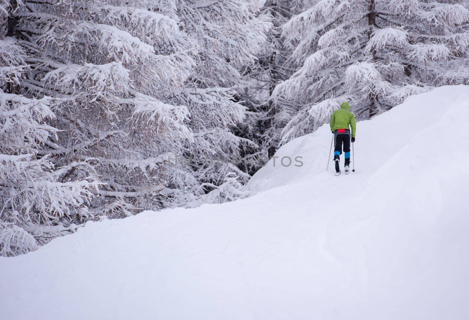 man enjoying cross country skiing by dotshock