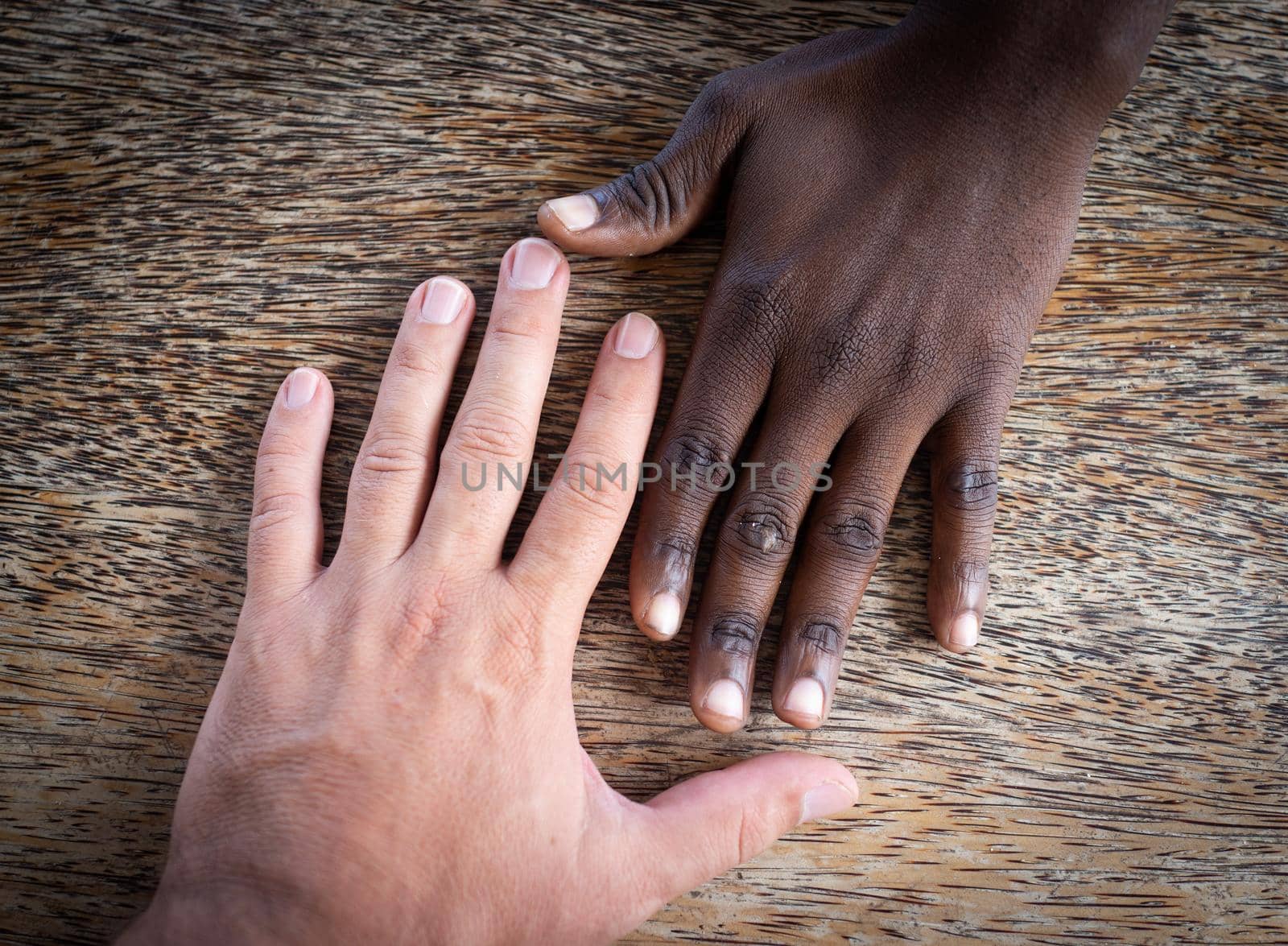 Two hands white and black making team together