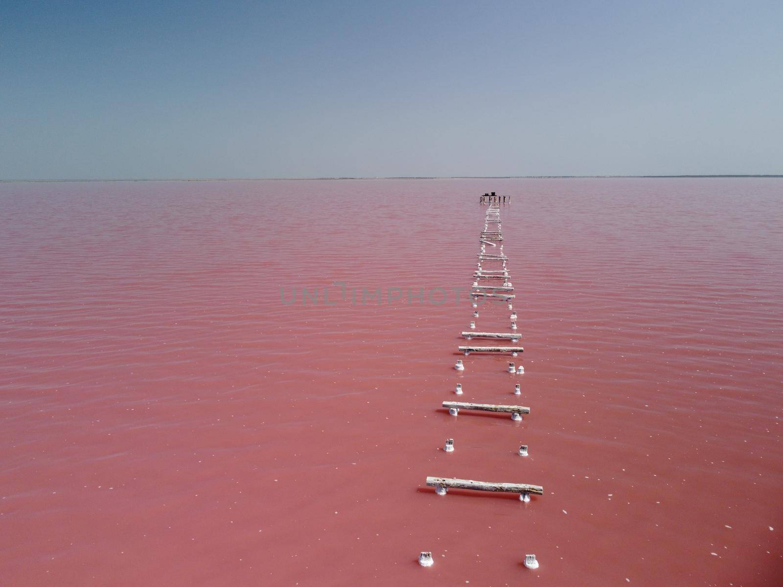 Flying over a pink salt lake. Salt production facilities saline evaporation pond fields in the salty lake. Dunaliella salina impart a red, pink water in mineral lake with dry cristallized salty coast by panophotograph