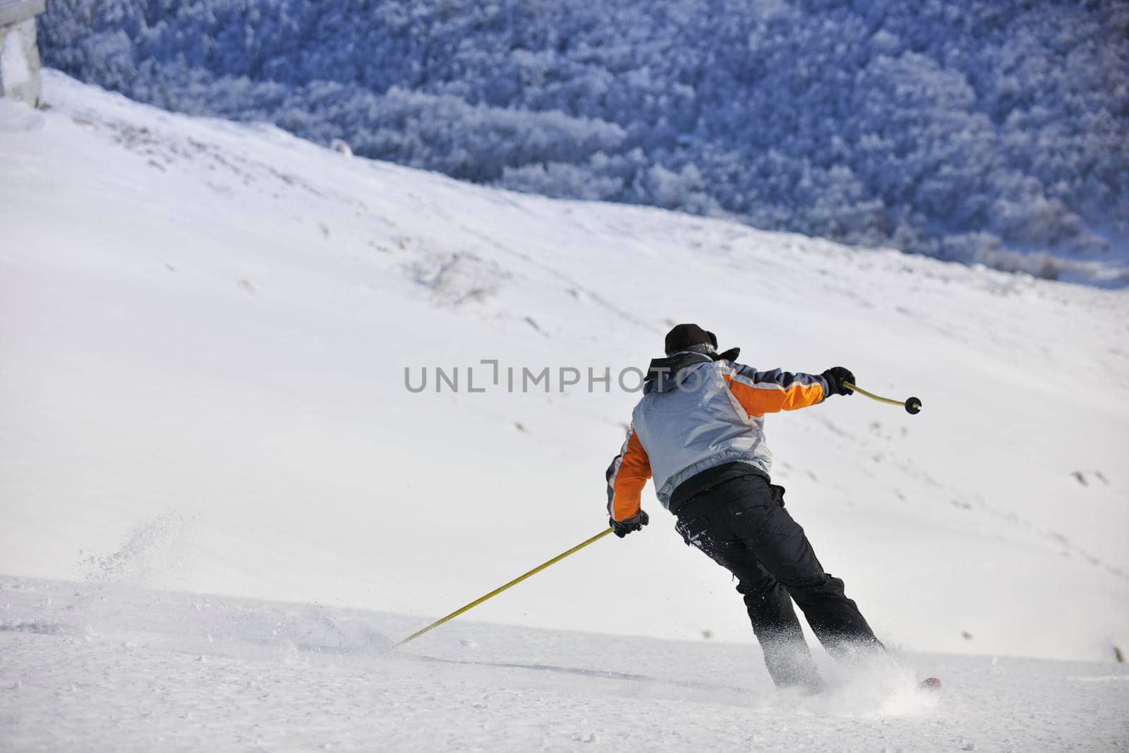 skier free ride downhill at winter season on beautiful sunny day 