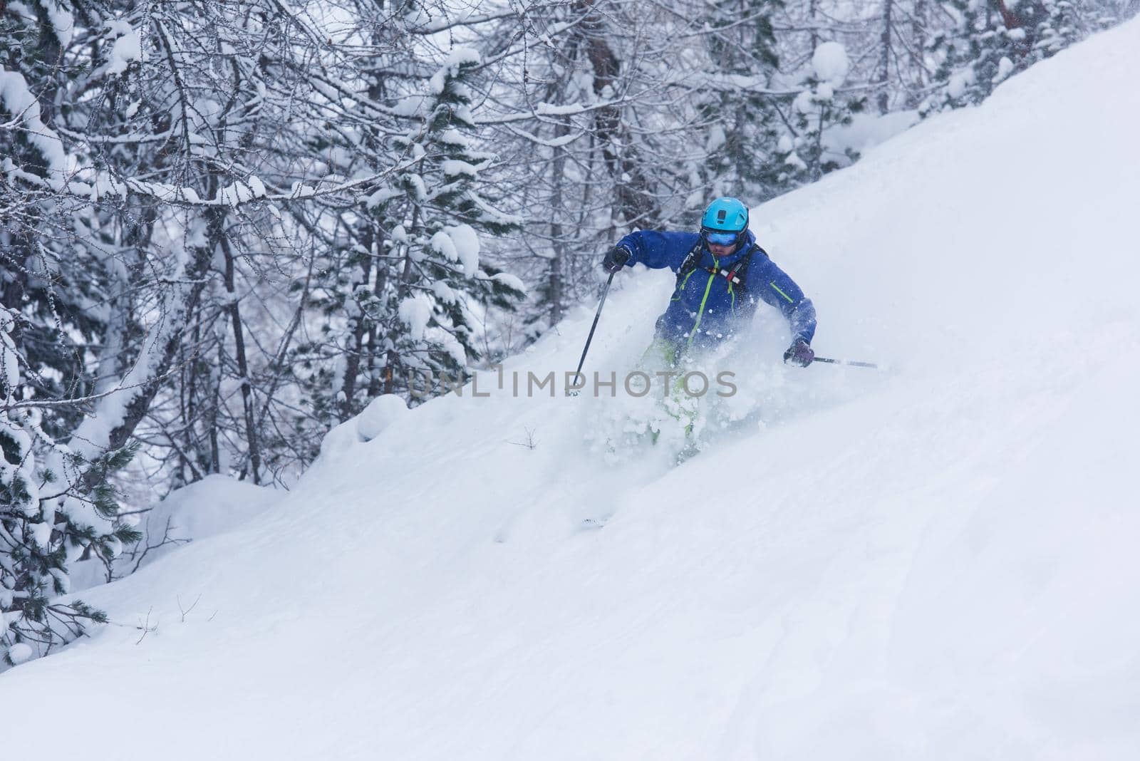 extreme freeride skier skiing on fresh powder snow in forest downhill at winter season