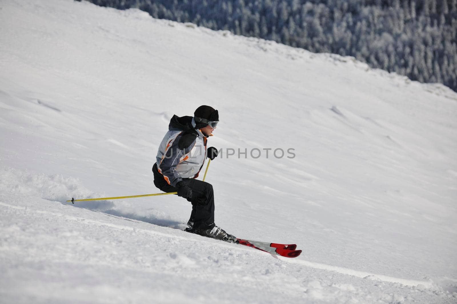 skier free ride  by dotshock