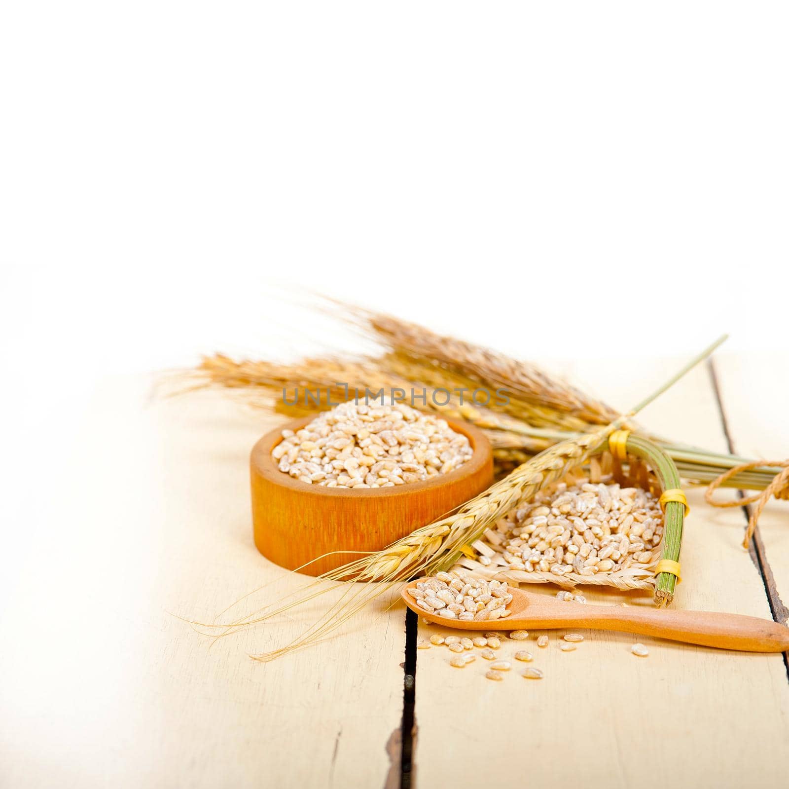 organic wheat grains  over rustic wood table macro closeup