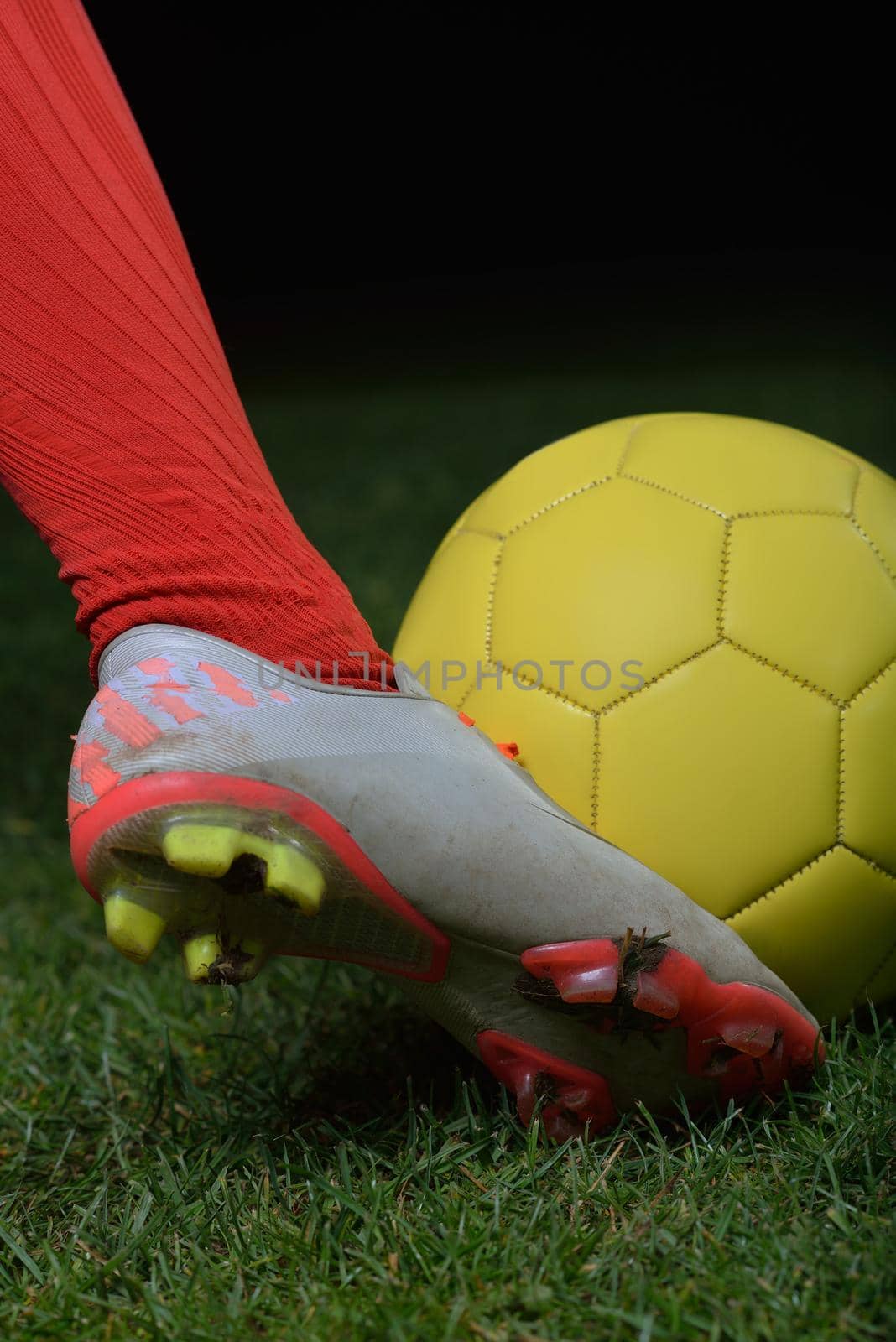 soccer player doing kick with ball on football stadium  field  isolated on black background