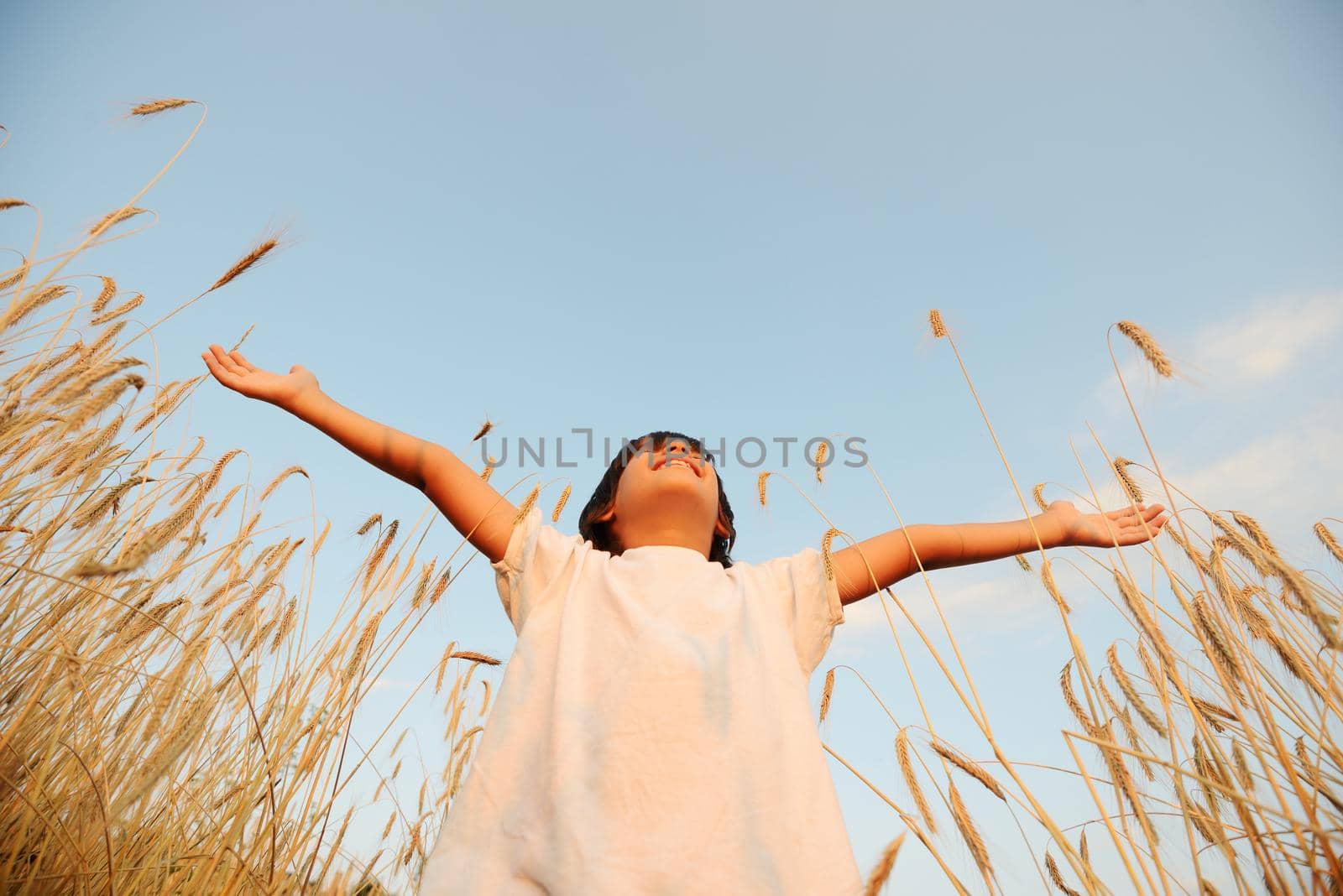 Kid at wheat field with open arms