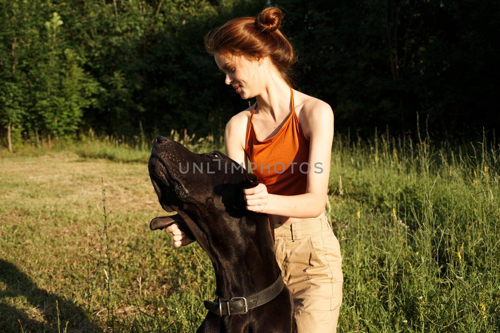 cheerful woman playing dog outdoors in the field of friendship. High quality photo