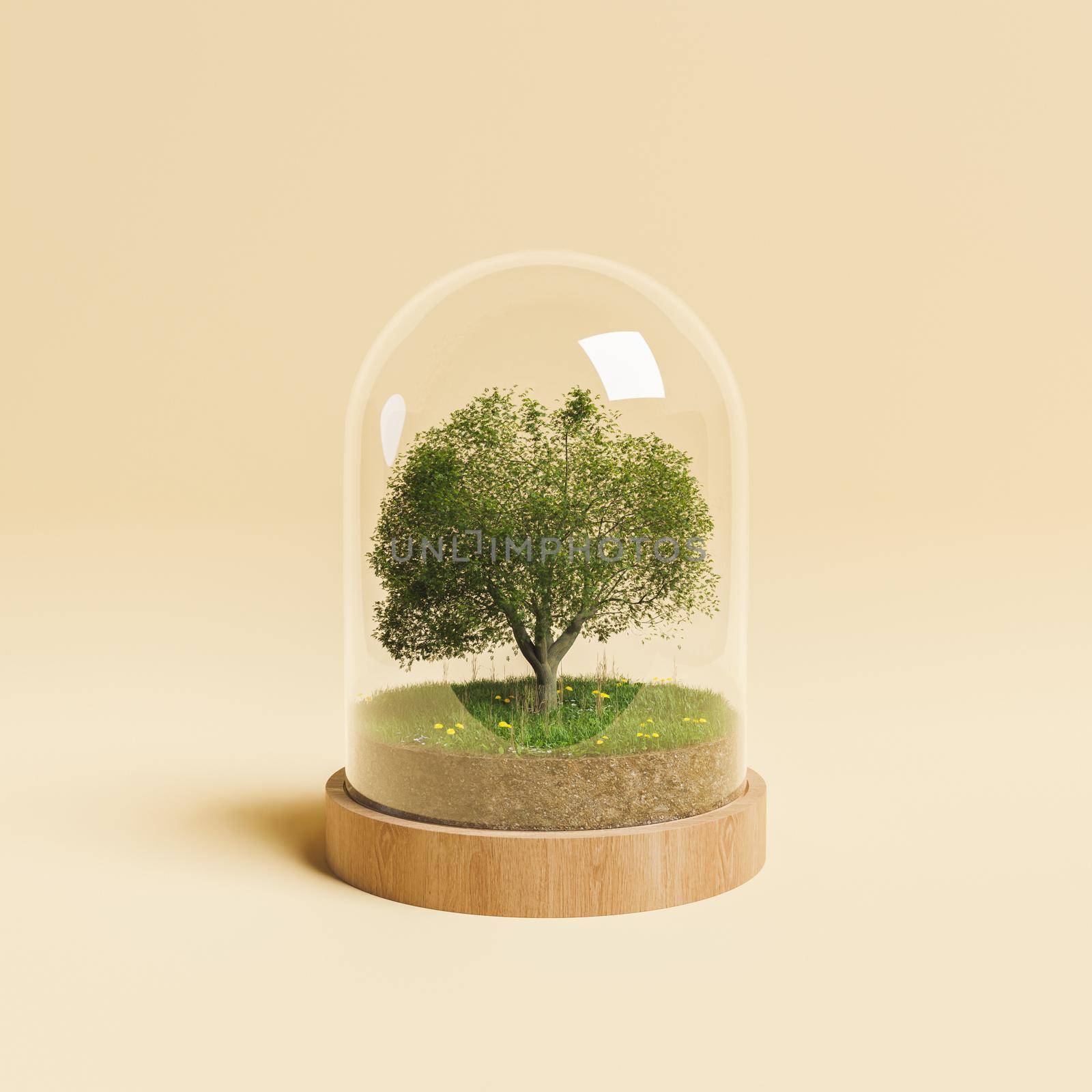 tree with small meadow inside a glass dome on beige background. concept of climate change, environment and nature. 3d render