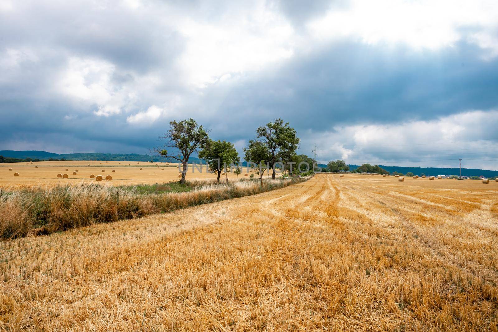 straw bales in the field after harvest. natural panorama.