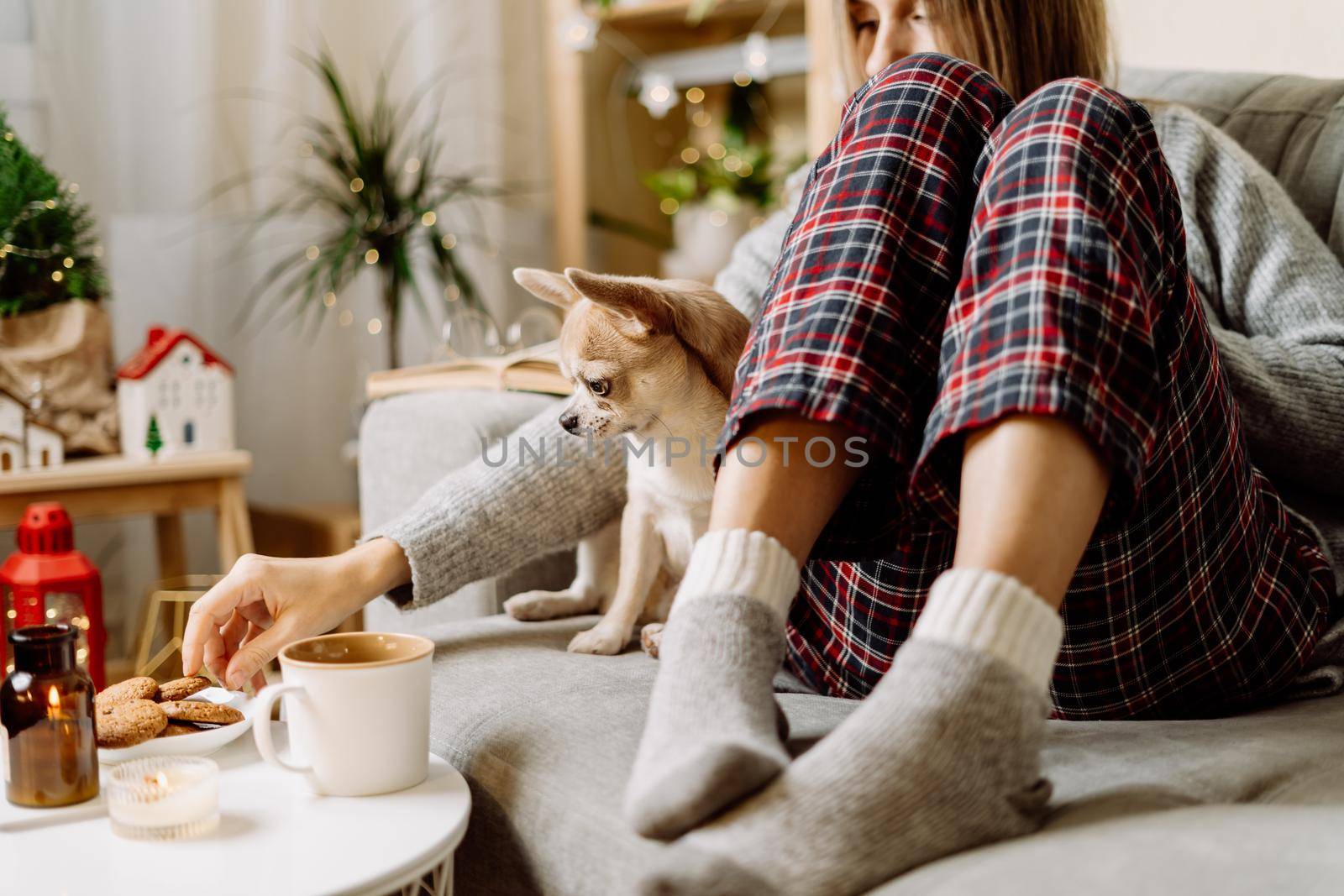 Cozy woman in knitted winter warm socks and sweater and checkered pajama eating cookies with dog, during resting on couch at home in Christmas holidays. Winter hot drink mug of cocoa or coffee