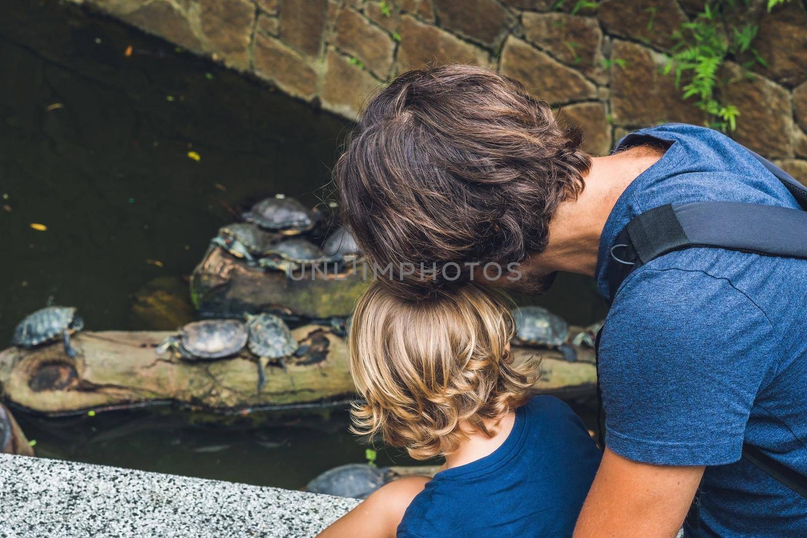 Father and son look at Water turtles swim in the pond of Hong Kong.
