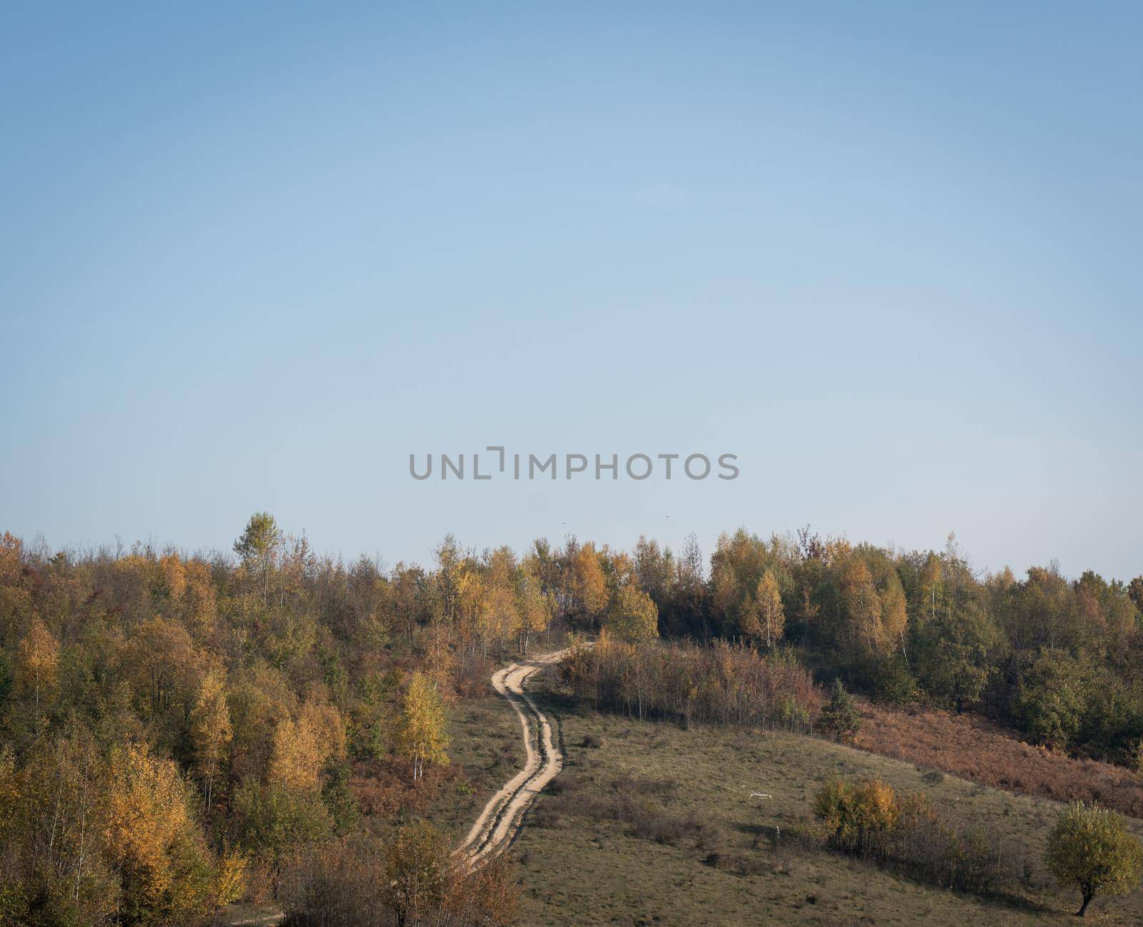 A train driving down a dirt road. High quality photo