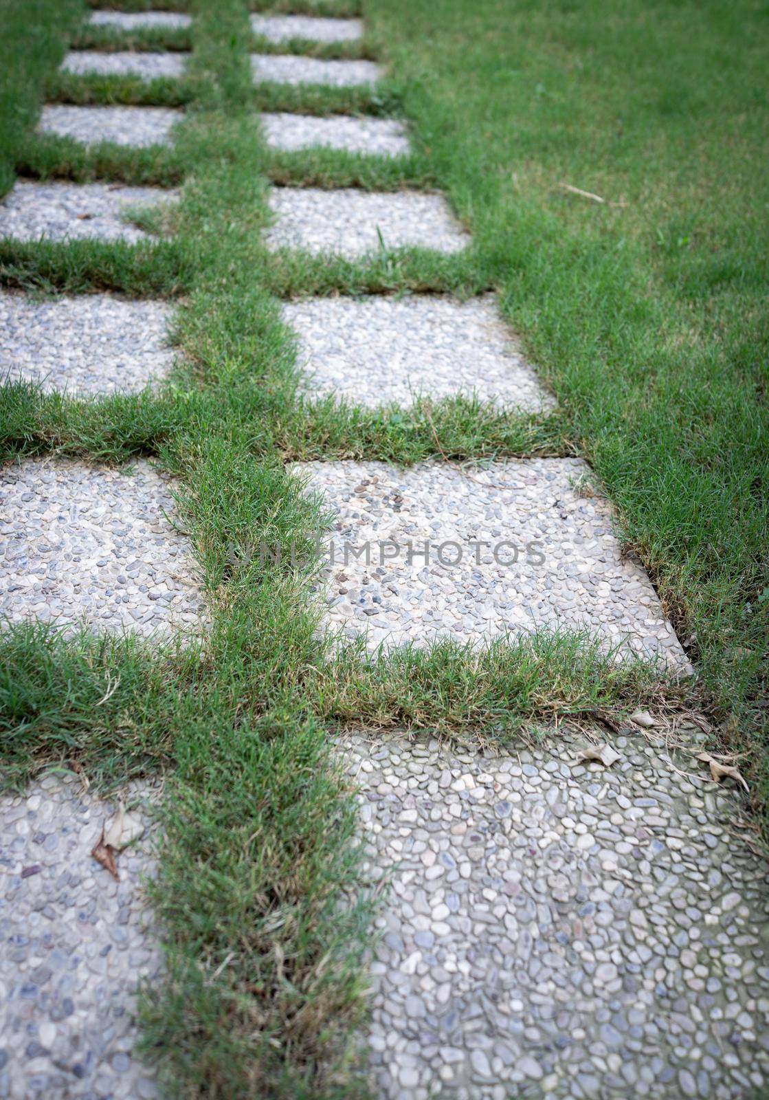 Pedestrian path on green grass outdoors