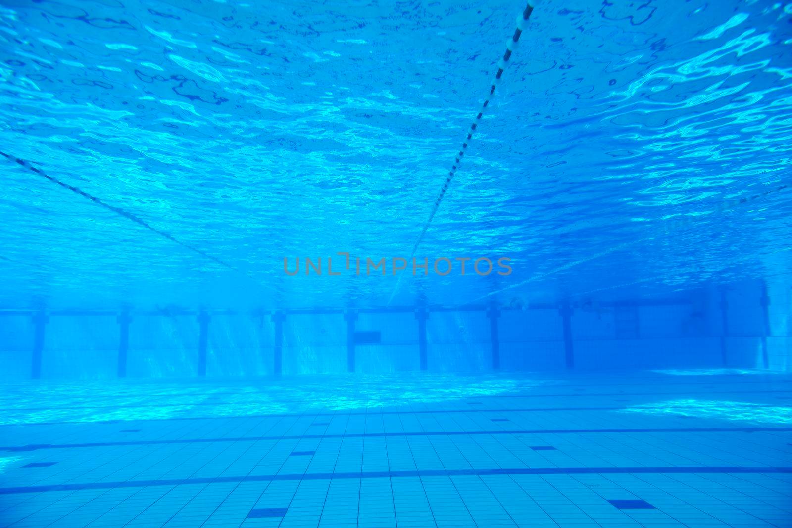 undervater shoot of swimming pool with good looking young swimmer 