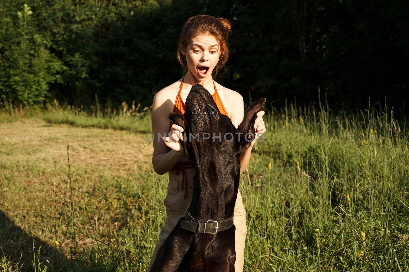 cheerful woman playing dog outdoors in the field of friendship. High quality photo
