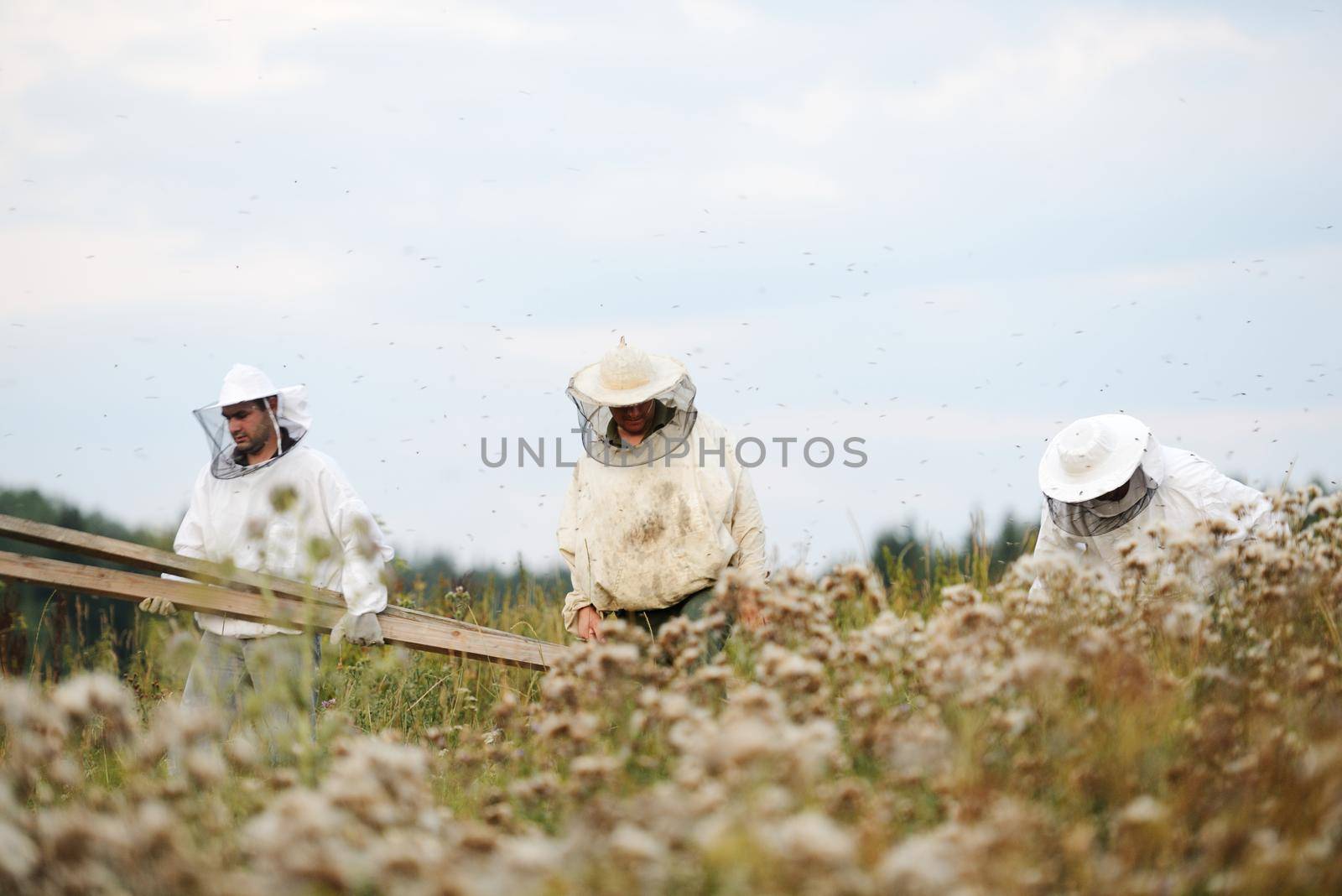 the best Beekeepers working on the big field by Zurijeta