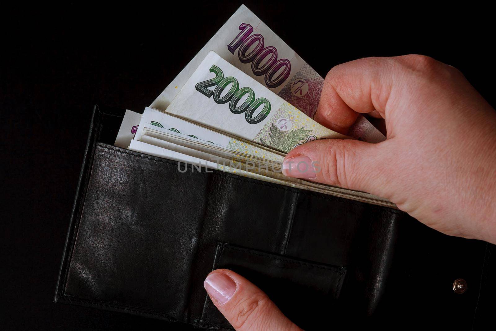 Czech money in the hands of woman on a black background. Czech crowns in a black wallet. Banknotes of 2000.