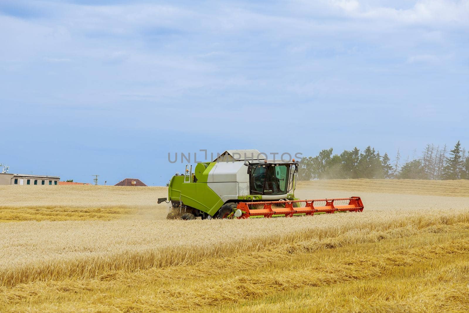 Combine harvesting wheat. A modern combine harvester working a wheat field.