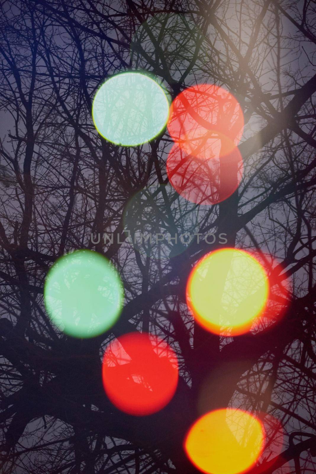 abstract tree background  with blured street  lights and double exposure