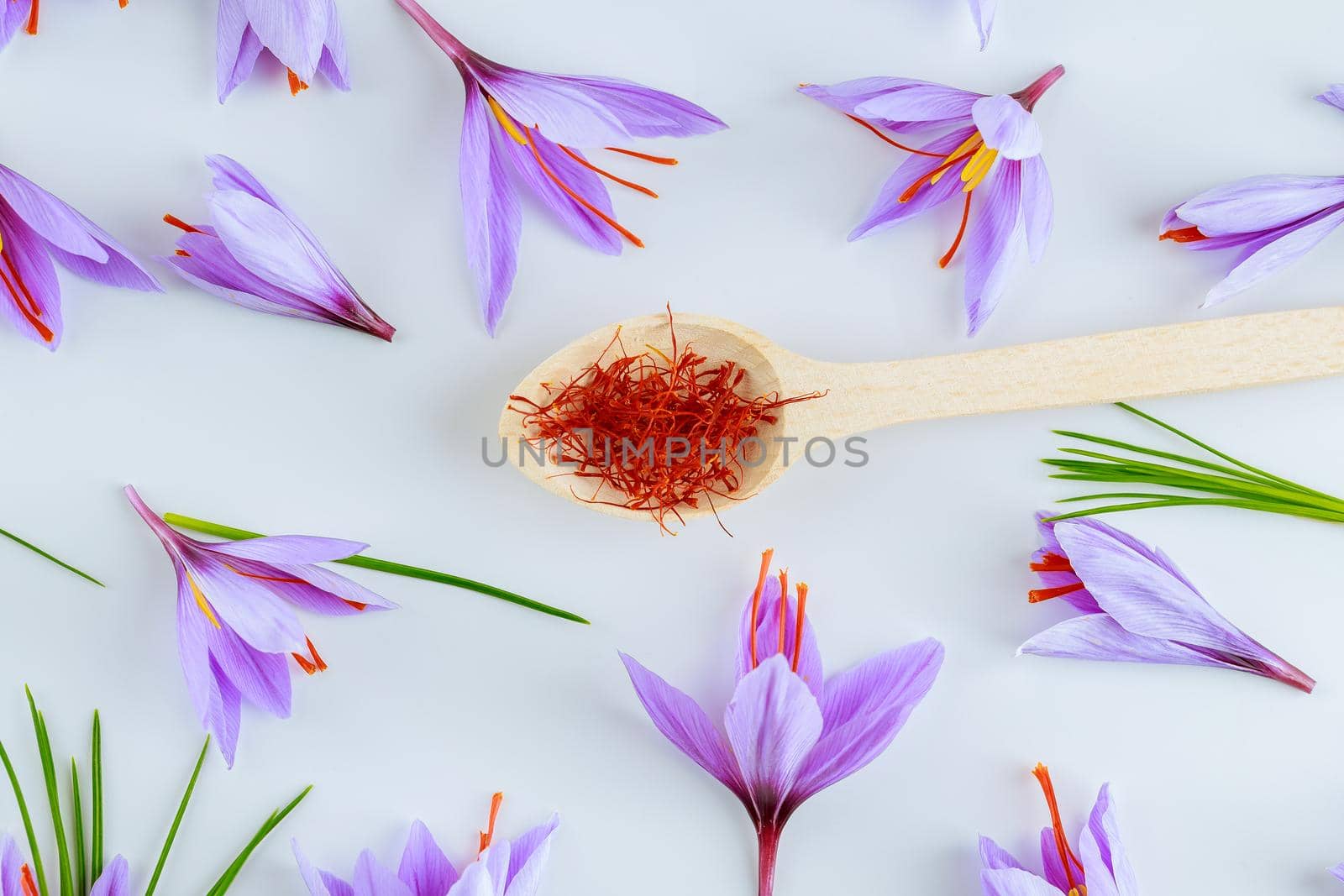 Saffron stigmas dry in a spoon on a white background. Crocus flowers. Saffron stamens.
