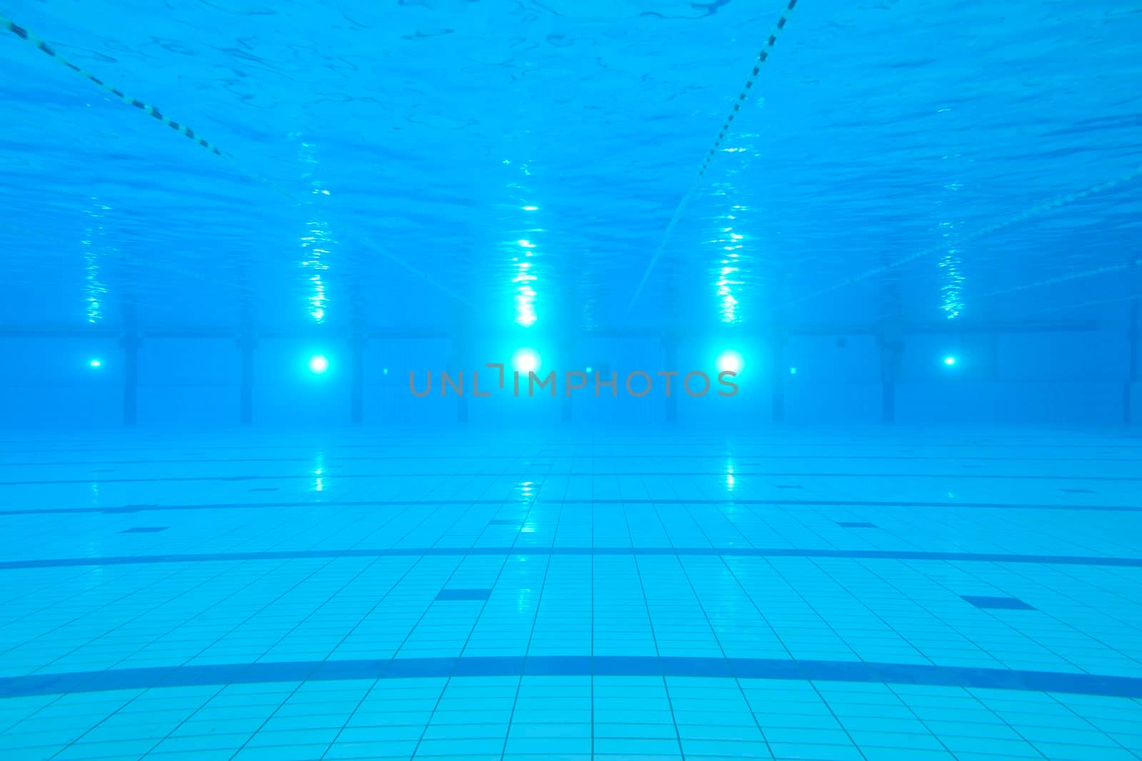 sport swimming pool  underwater with blue color and swimmers