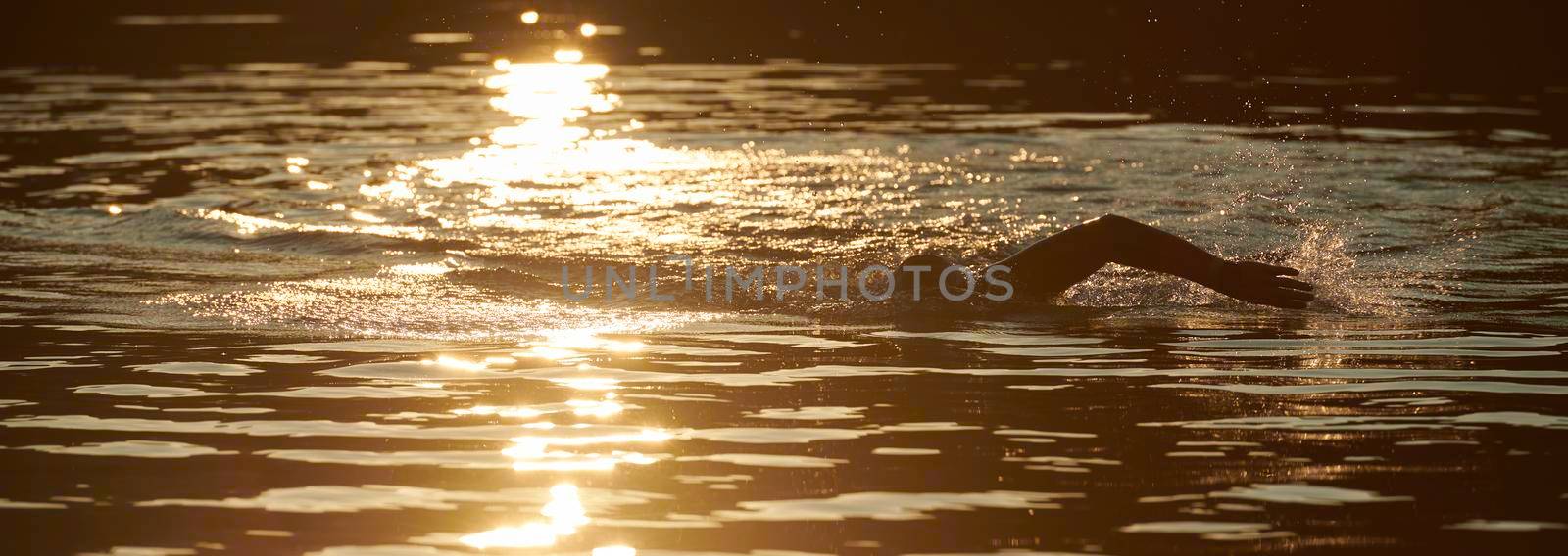 triathlon athlete swimming on beautiful morning sunrise training in lake wearing wetsuit concept of strength and endurance