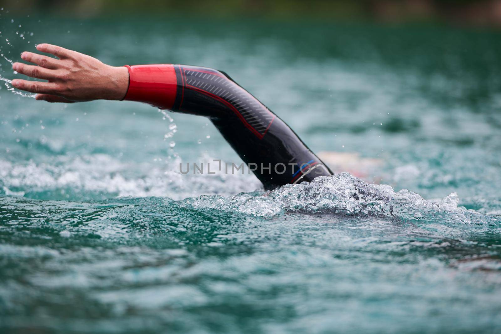 triathlon athlete swimming on extreme morning training in green lake wearing wetsuit