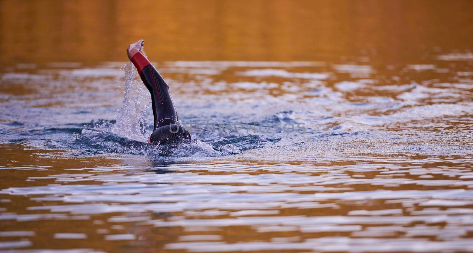 triathlon athlete swimming on beautiful morning sunrise training in lake wearing wetsuit concept of strength and endurance