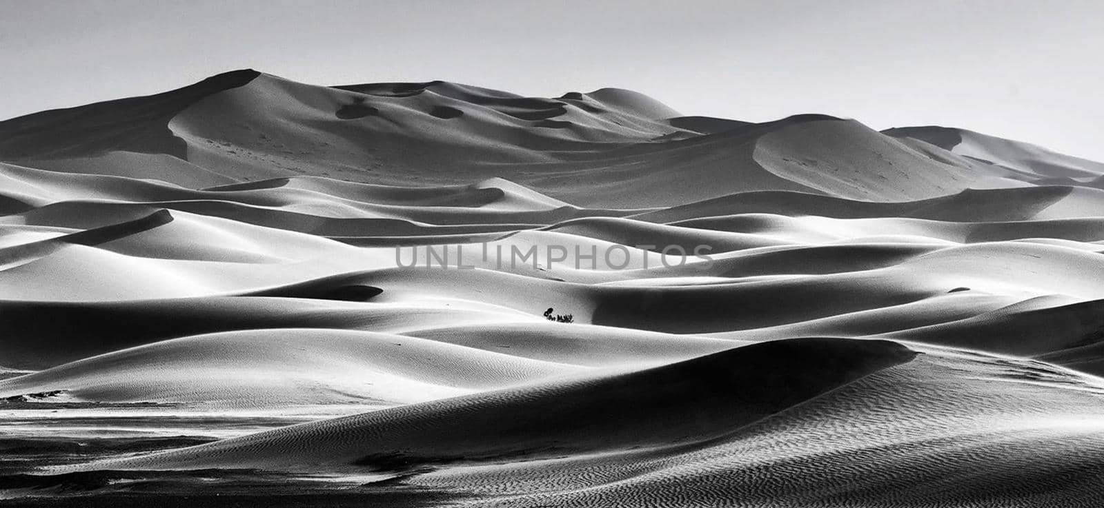 Scenic  sand dunes in Sahara Desert