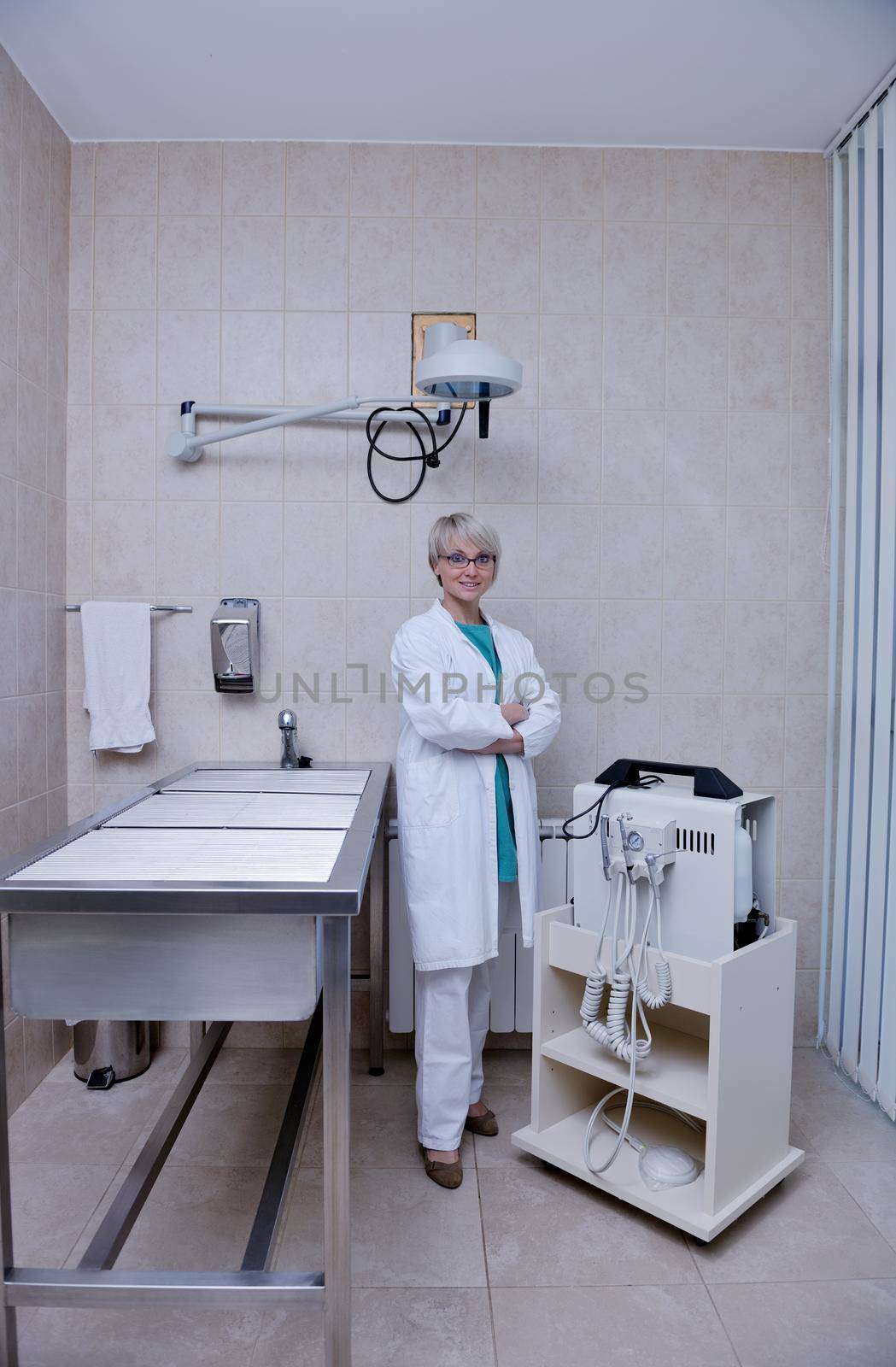 doctor vet woman work at surgery room on ill animal cat and dog giving help and medical care