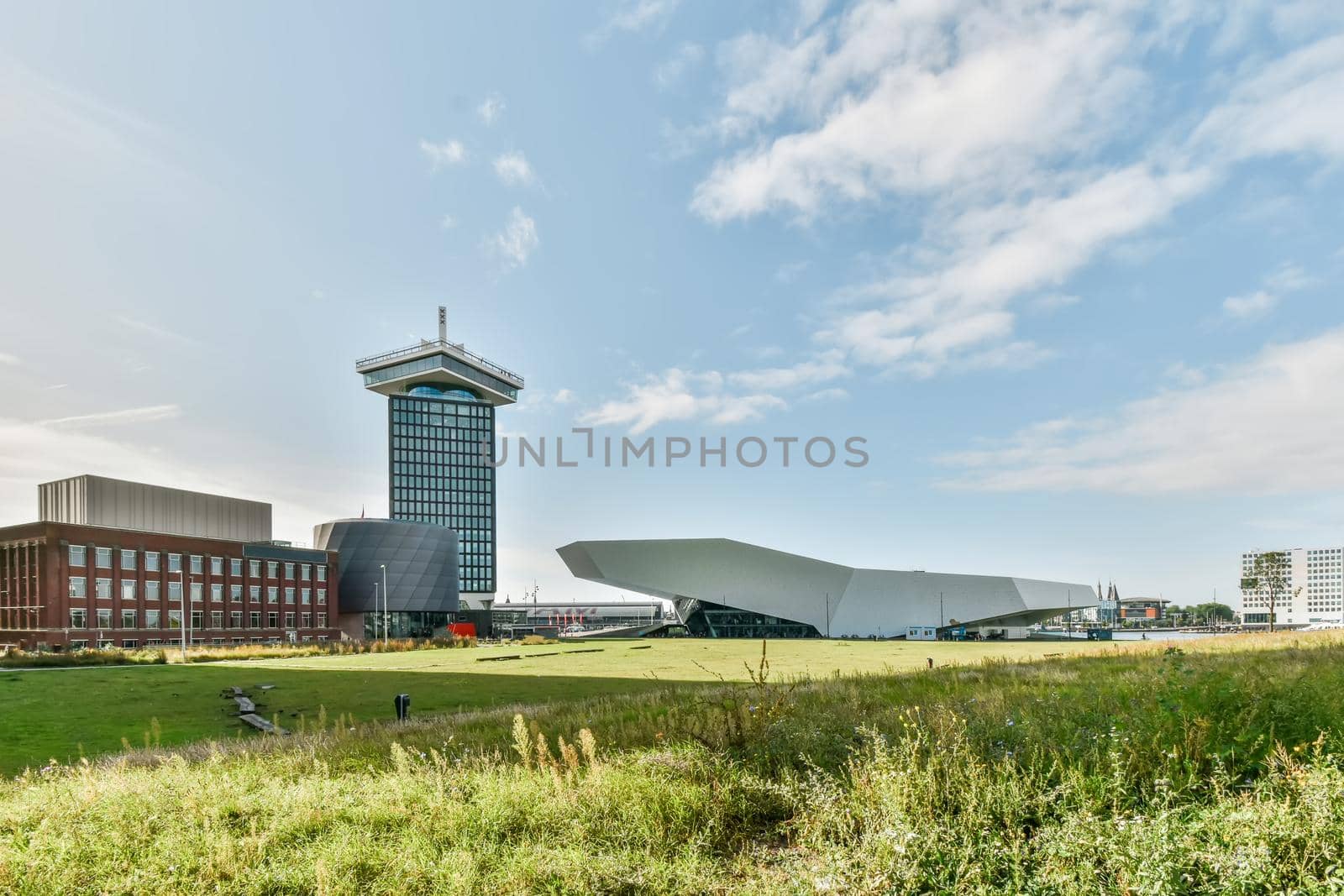 Large beautiful meadow with overgrown grass and unusual buildings in the background