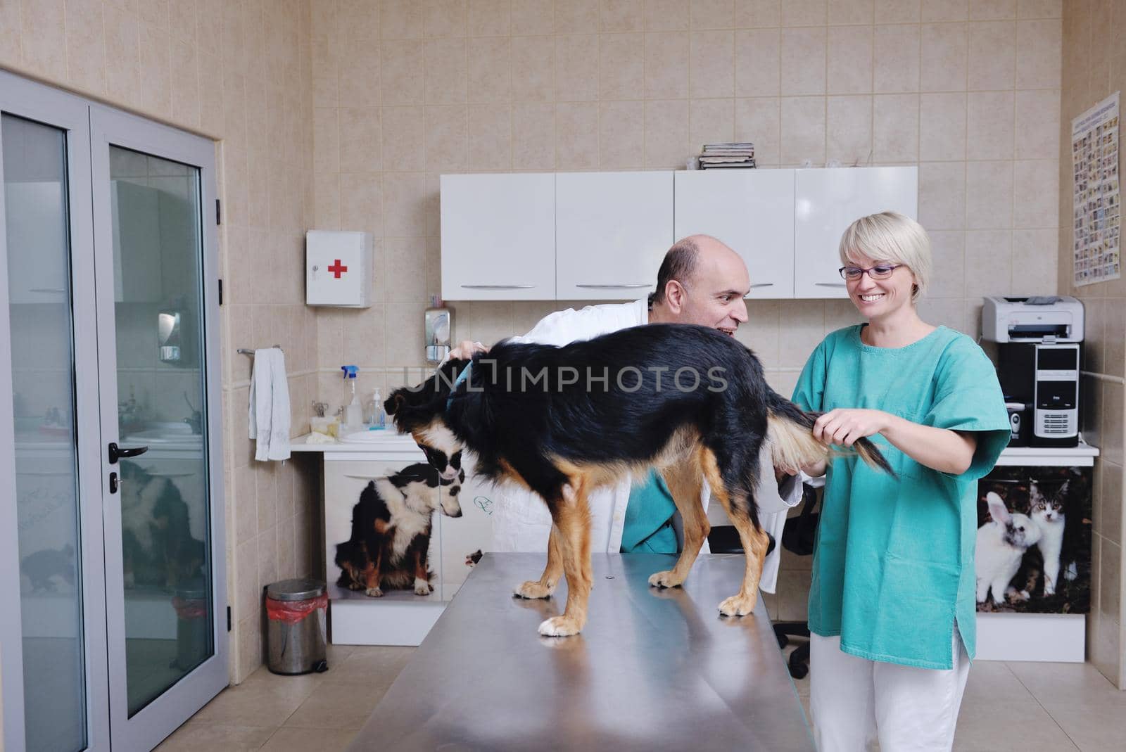 portrait of a veterinarian and assistant in a small animal clinic at work