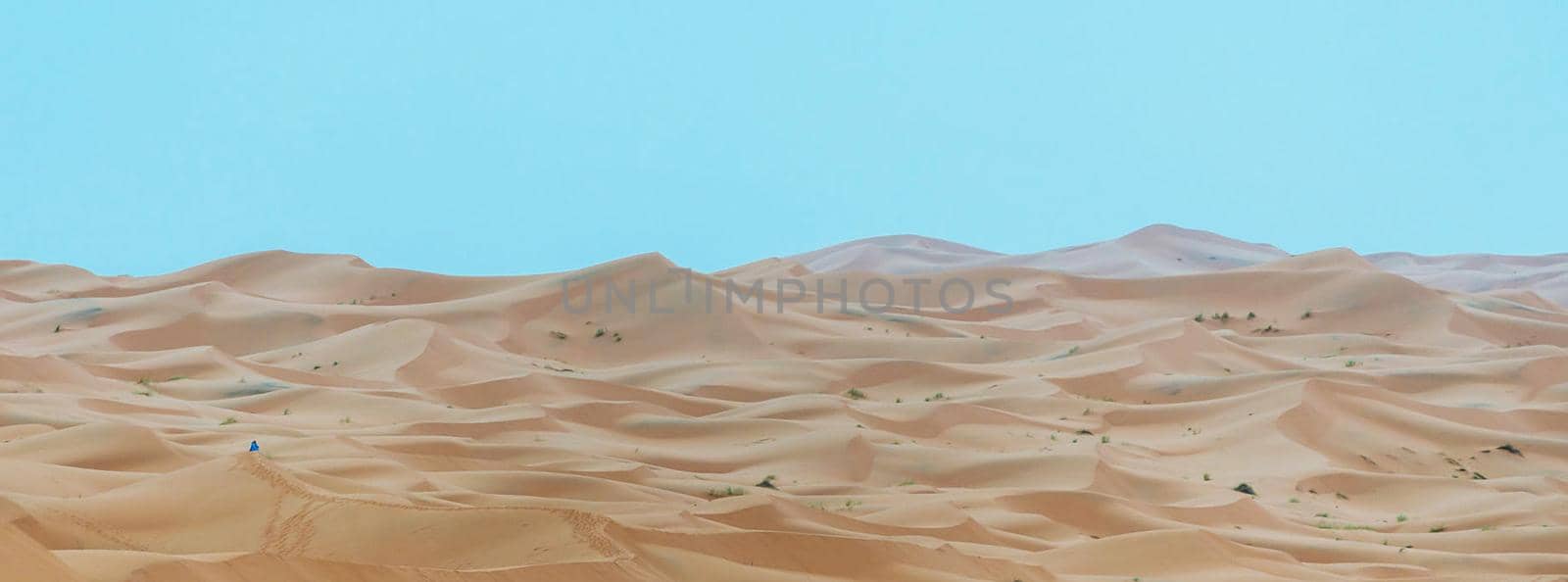 Patterns in the sand of the Sahara Desert