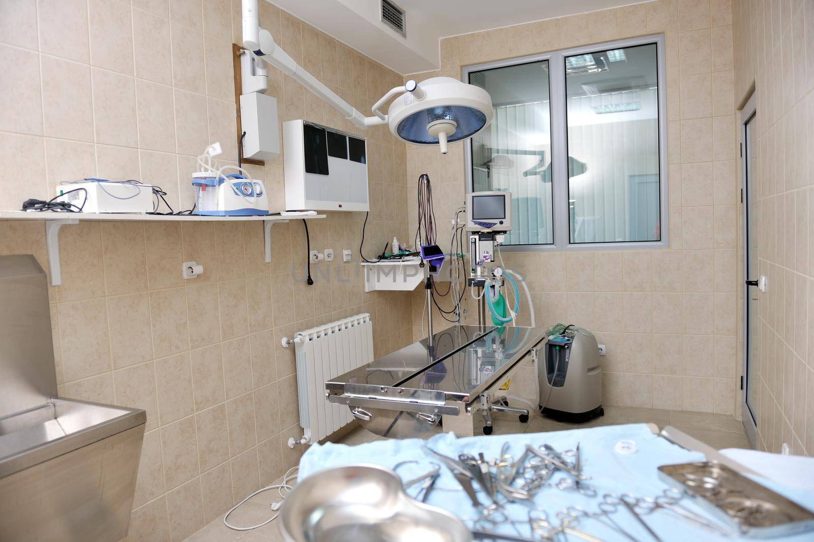 animal and pet surgery hospital room indoor with tools and instruments