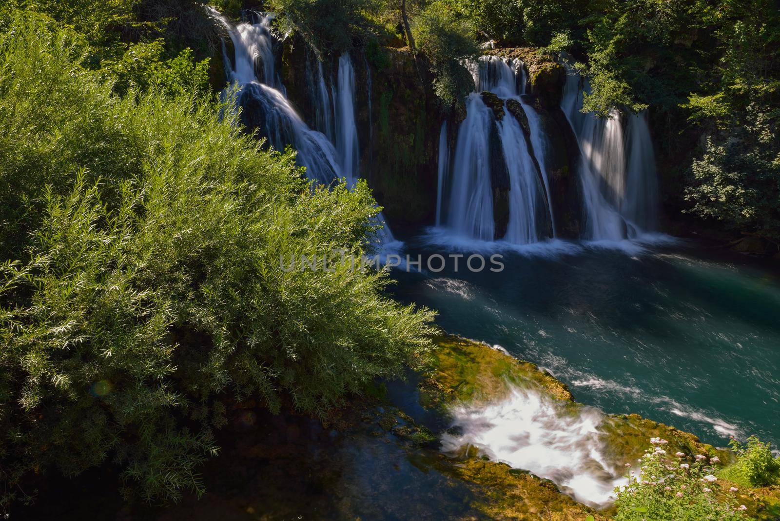 waterfall on wild river with fresh drinking water in summer