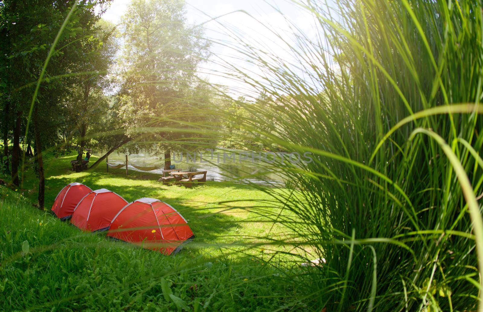 calm relaxing camp tent near the beautiful river on sunny summer day