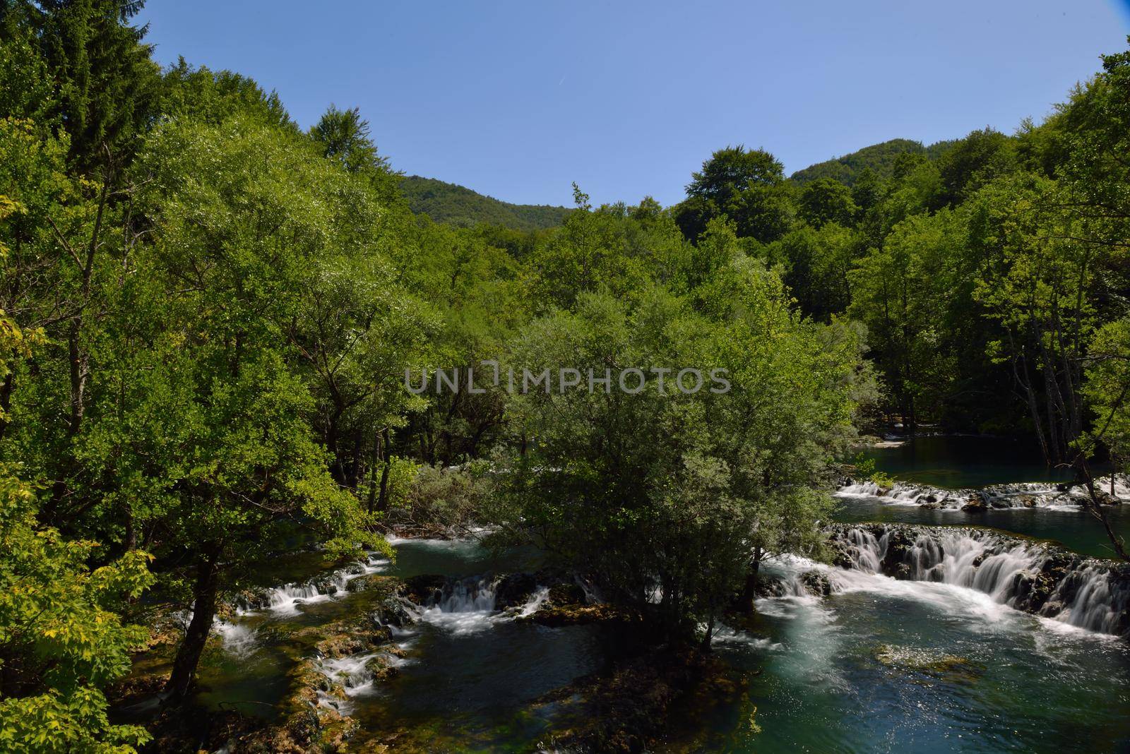 waterfall with clean and fresh water  nature with green forest in background