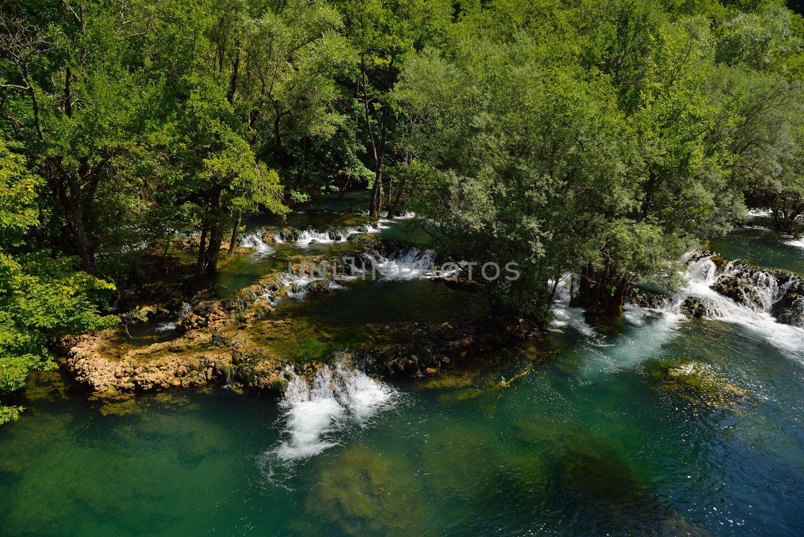 waterfall with clean and fresh water  nature with green forest in background