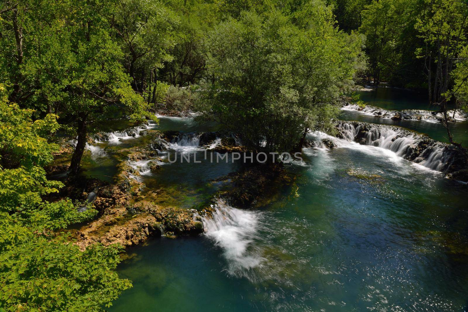 waterfall with clean and fresh water  nature with green forest in background