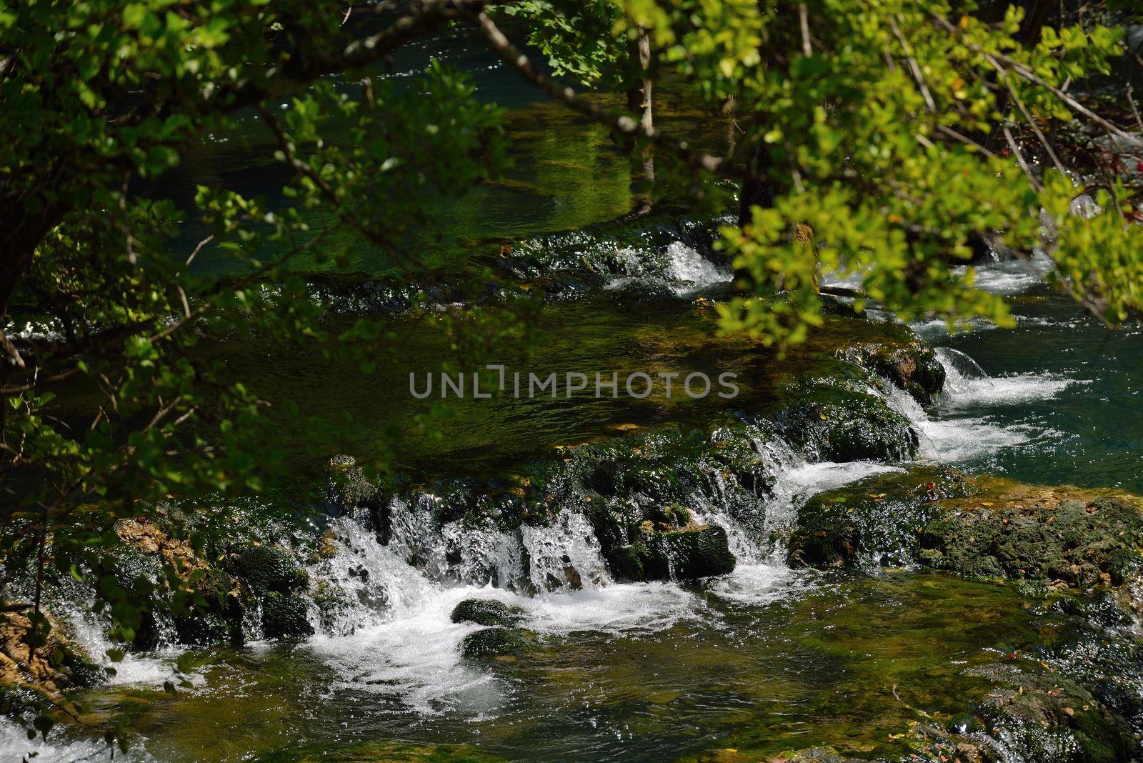 waterfall with clean and fresh water  nature with green forest in background