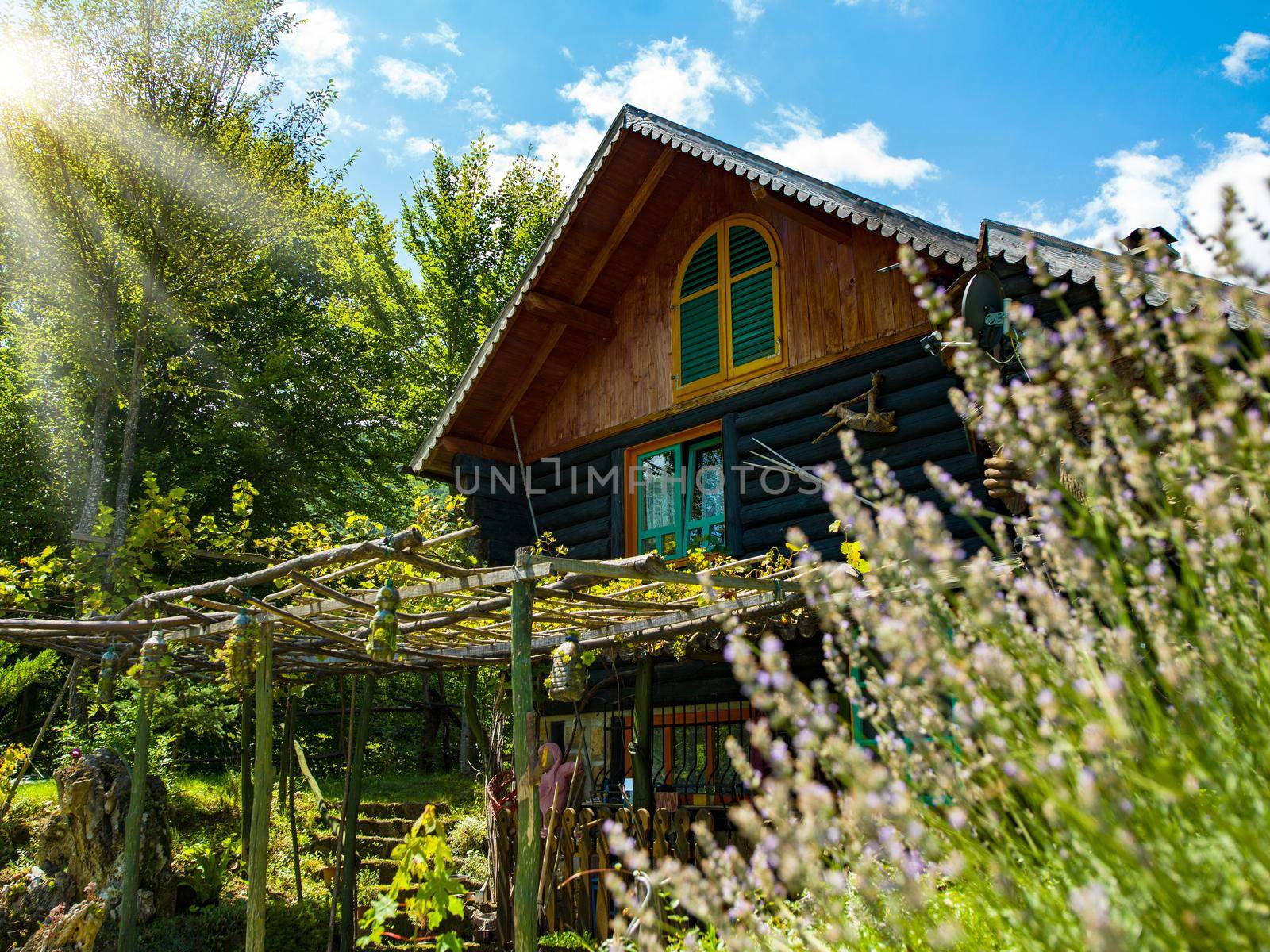 luxury family wooden  cotage house in forest with garden and colorful herbs