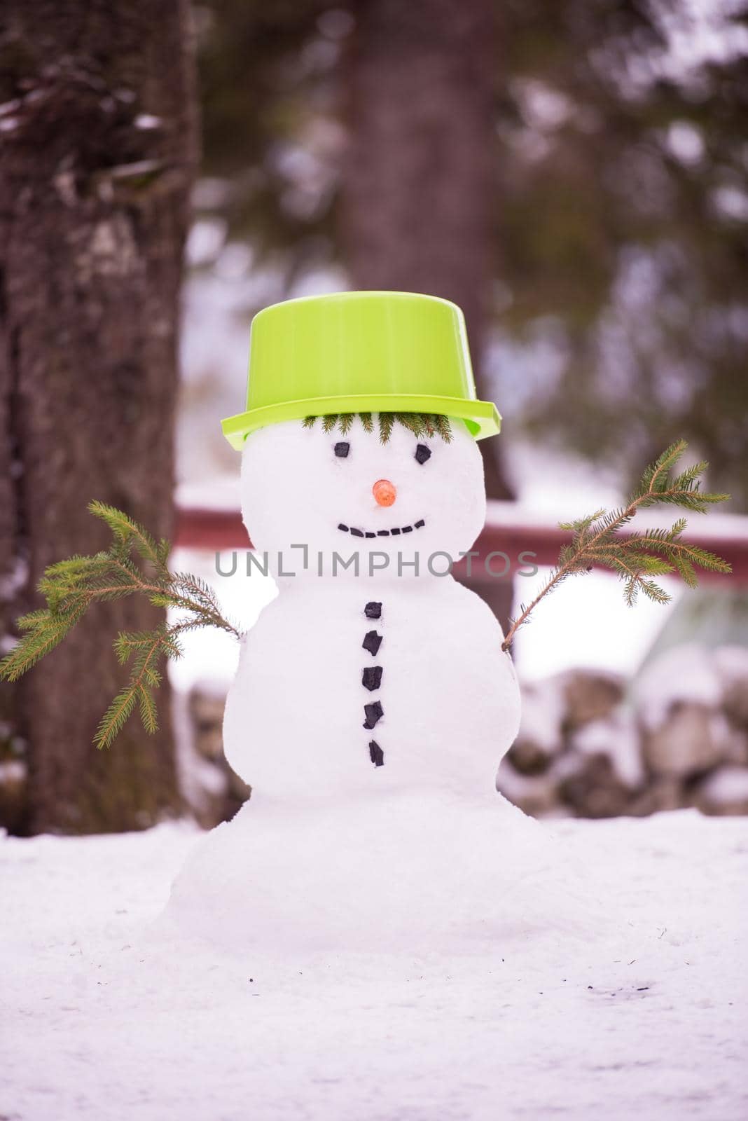 smiling snowman with green hat by dotshock