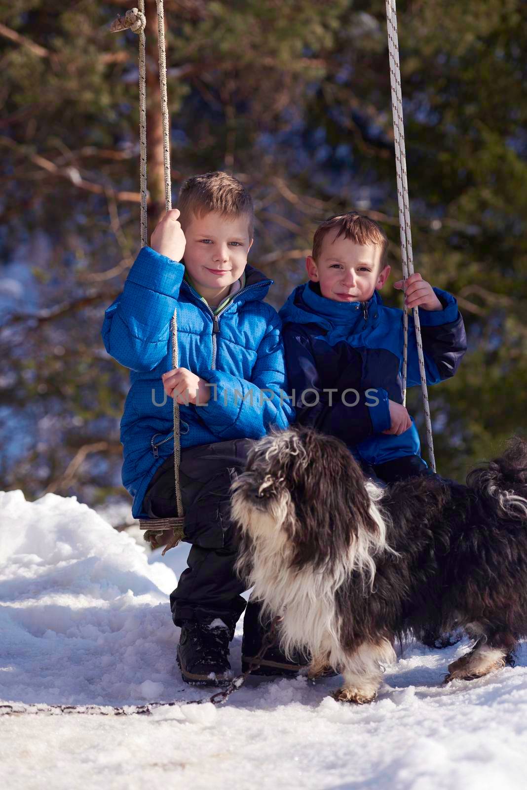 portrait of two little boys with slides  in nature at beautiful sunny winter day with fresh snow