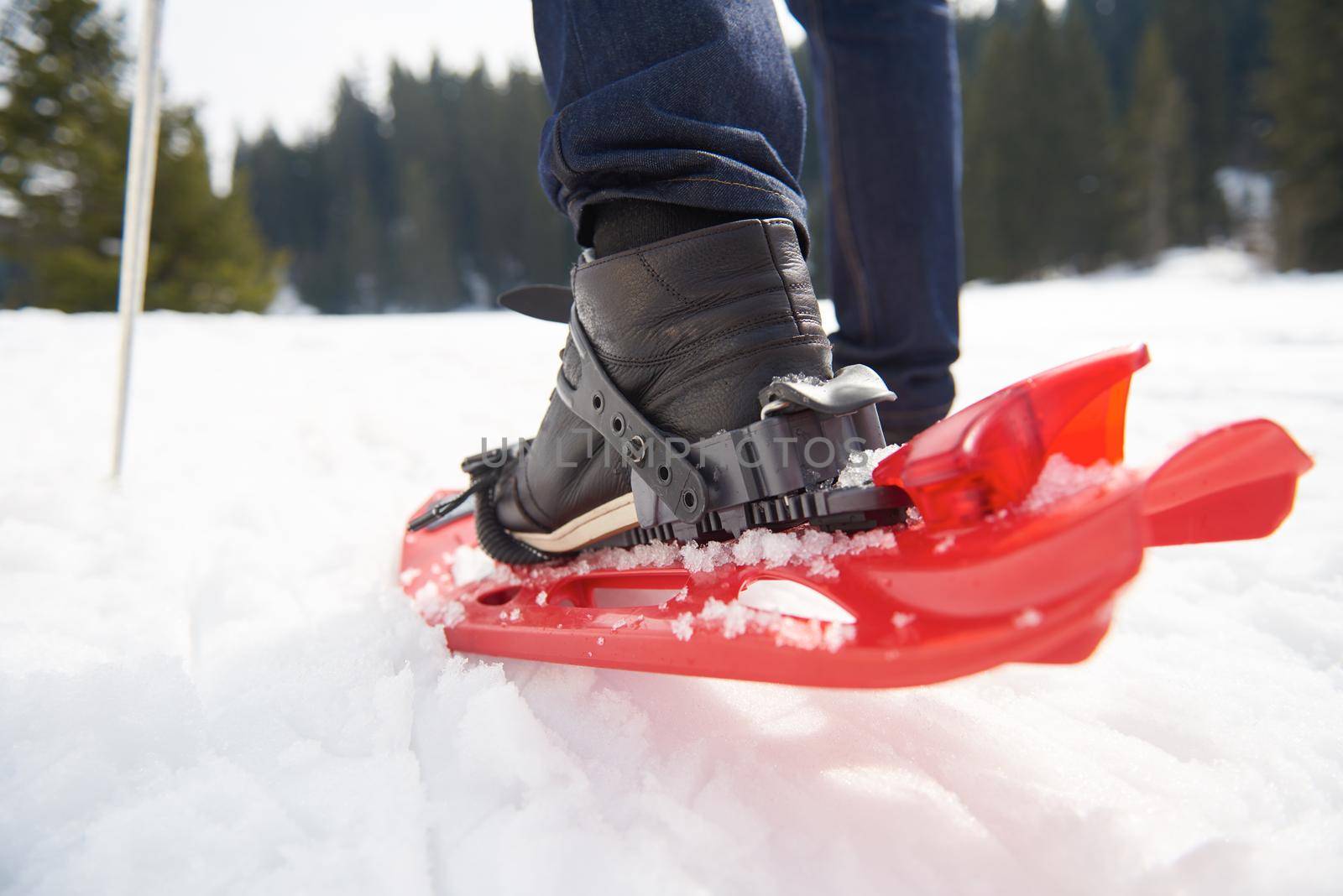 happy young  couple having fun and walking in snow shoes outdoor in nature at beautiful winter day. Health sport and relaxation