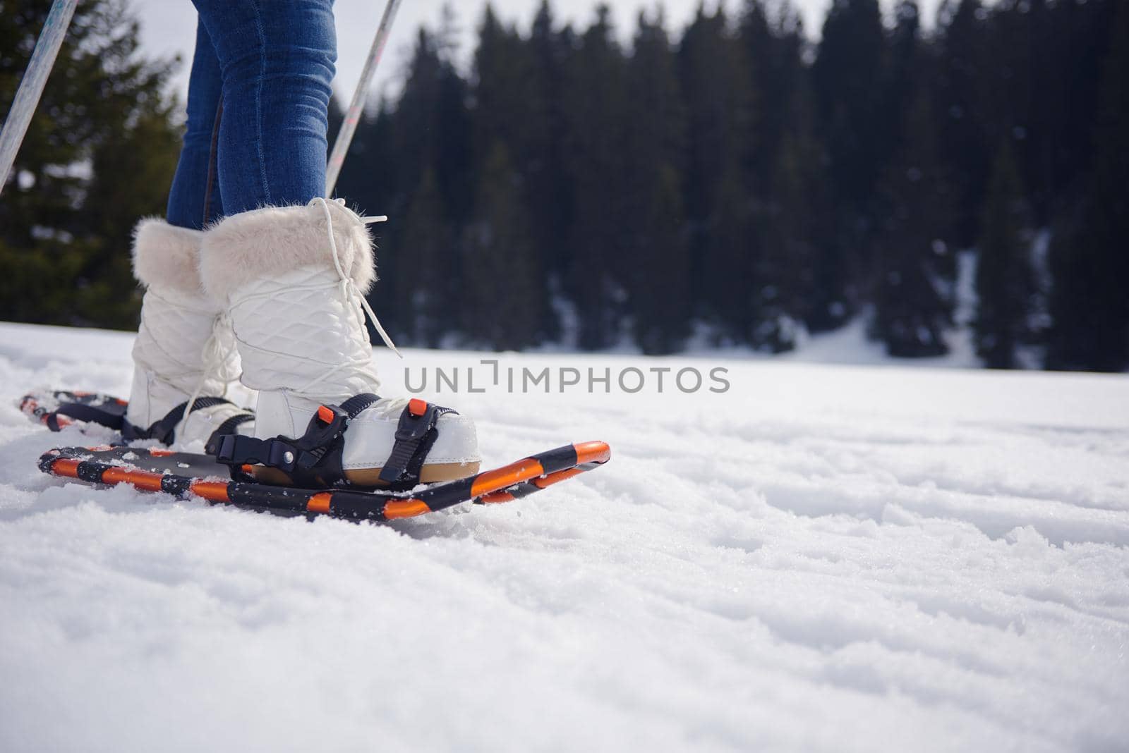 happy young  couple having fun and walking in snow shoes outdoor in nature at beautiful winter day. Health sport and relaxation